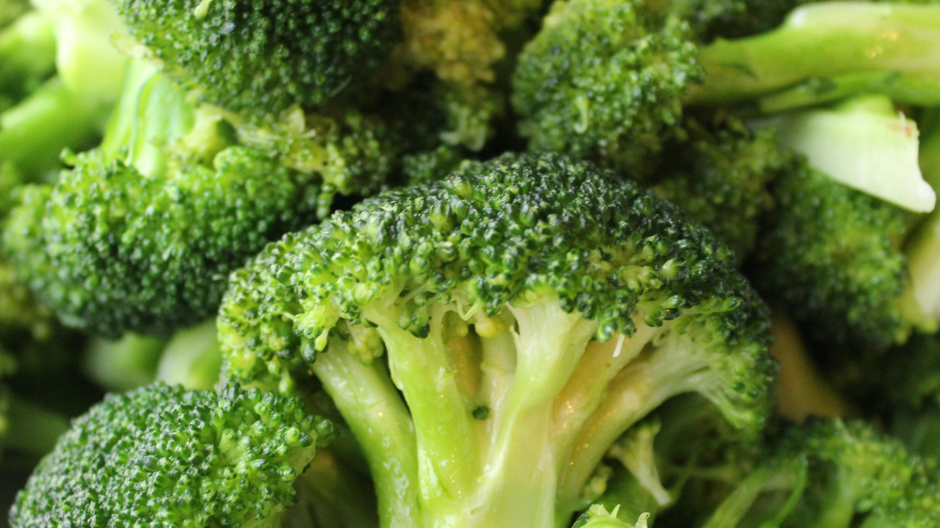 green broccoli on white ceramic plate