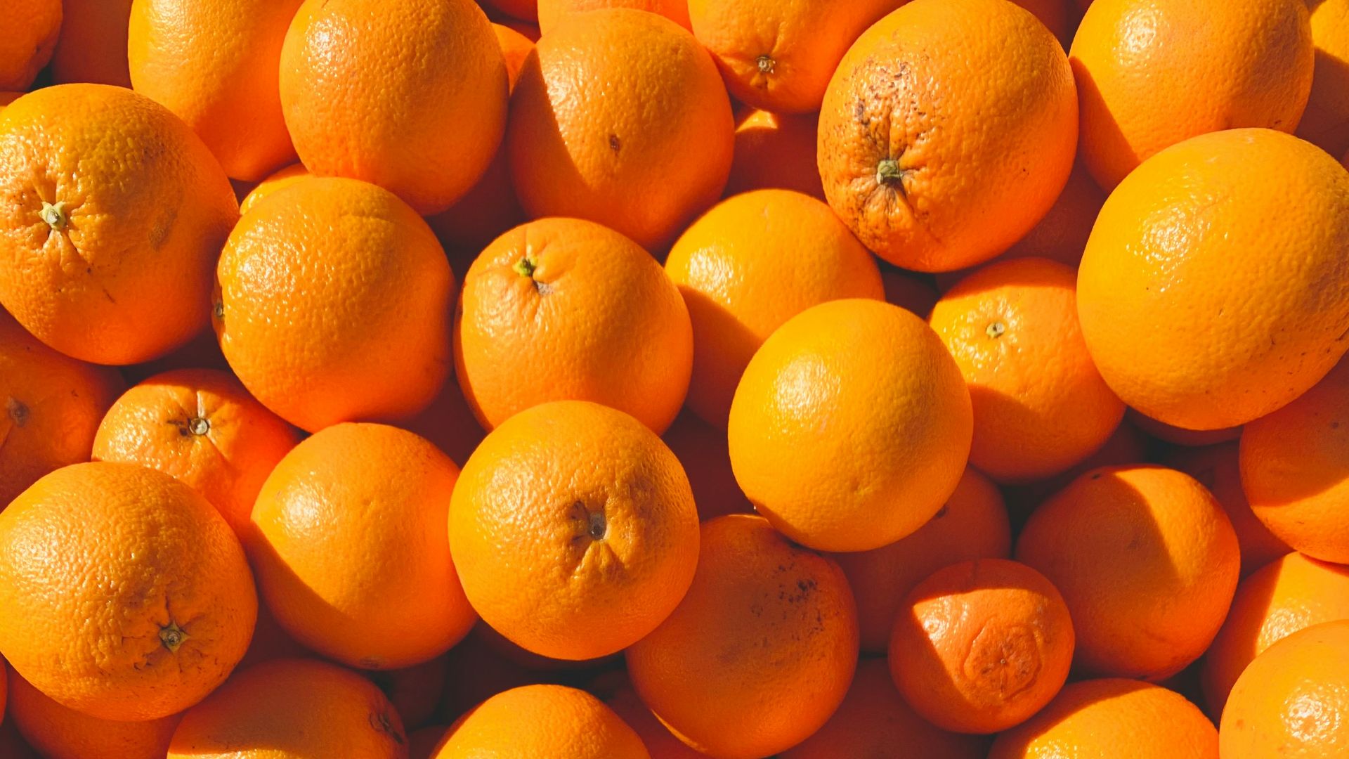 orange fruits on white ceramic plate