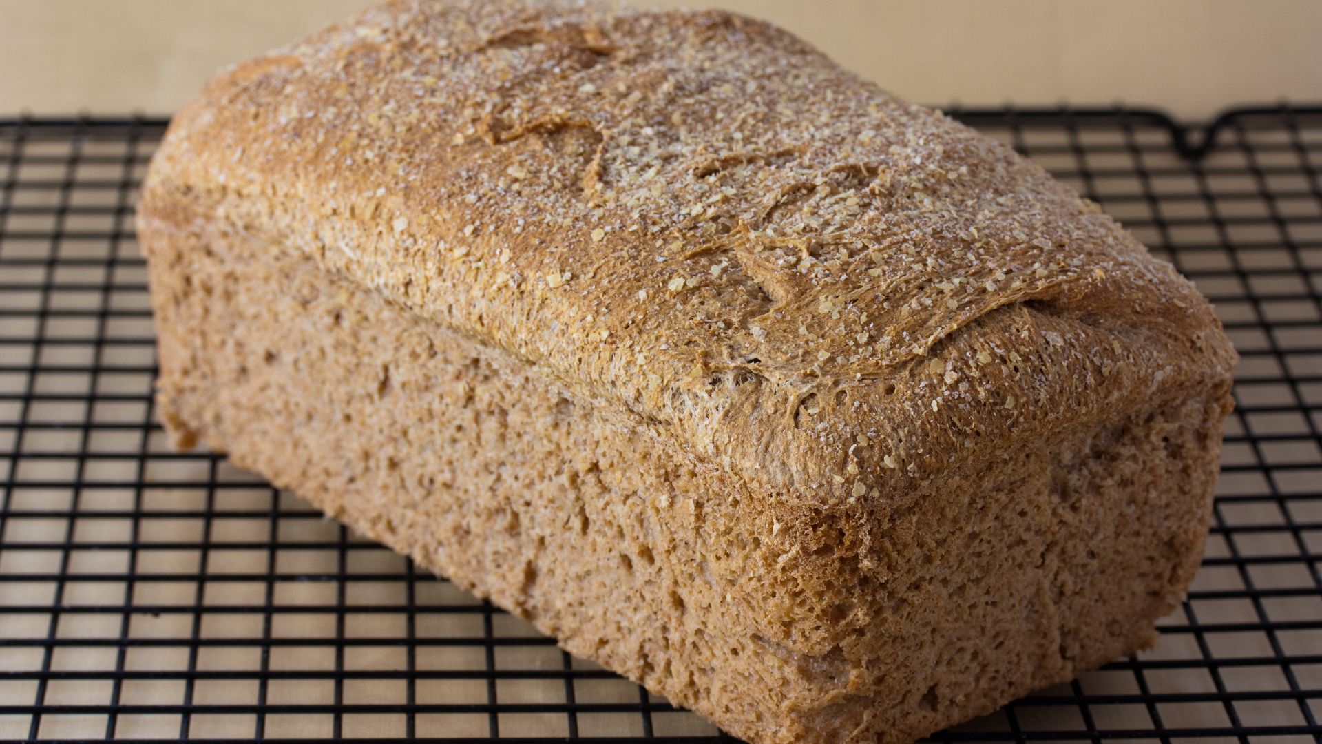 File:Vegan no-knead whole wheat bread loaf, September 2010.jpg