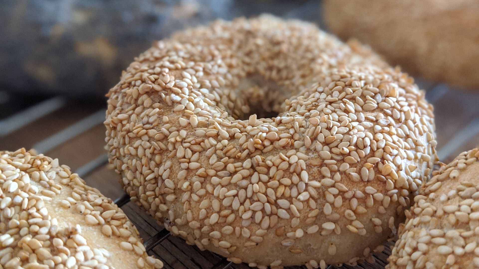 File:Bagel with sesame 3.jpg
