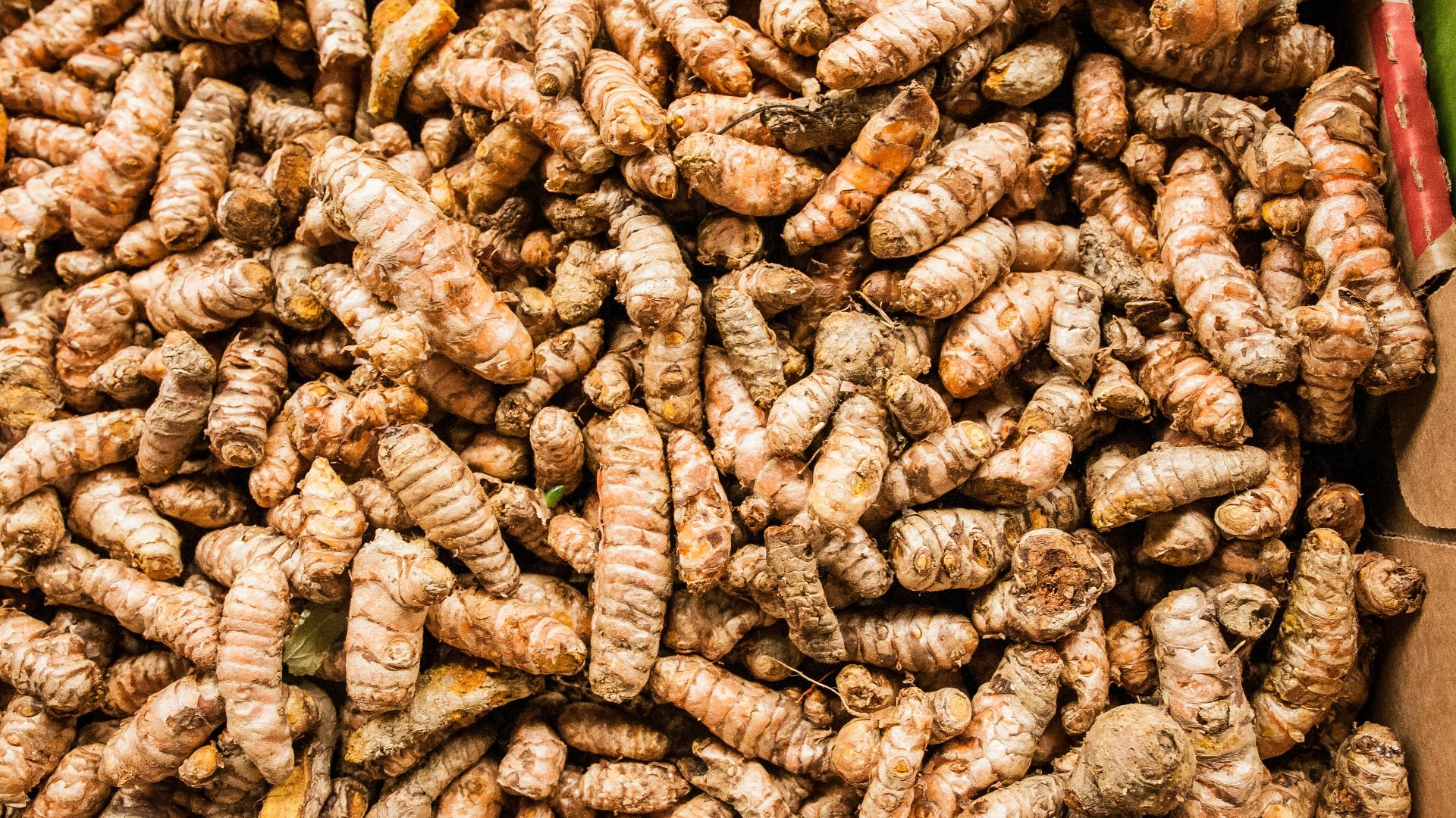 a pile of brown and white nuts