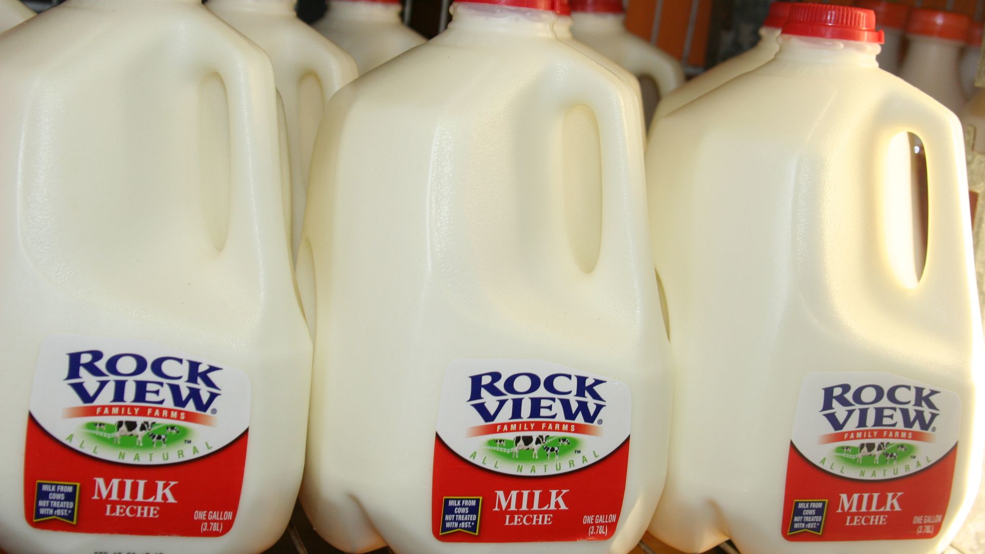 File:Milk jugs in a row.jpg