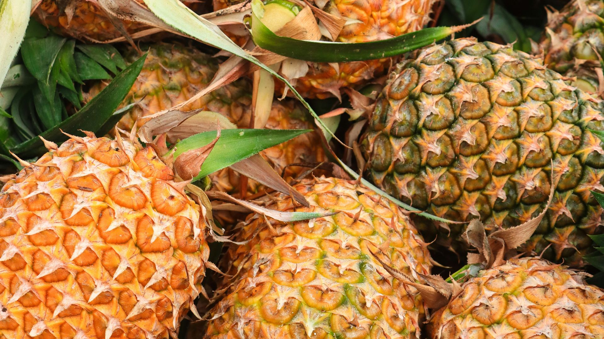 a pile of pineapples sitting next to each other