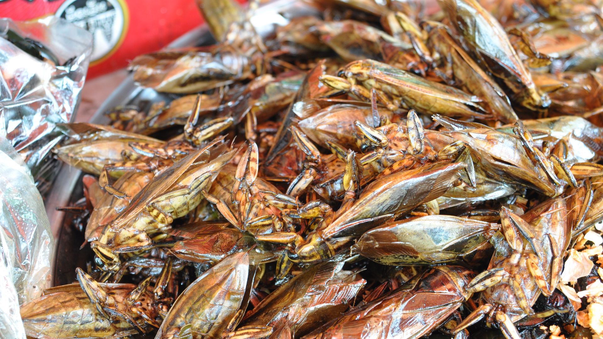 File:Fried Beetles (14144905607).jpg