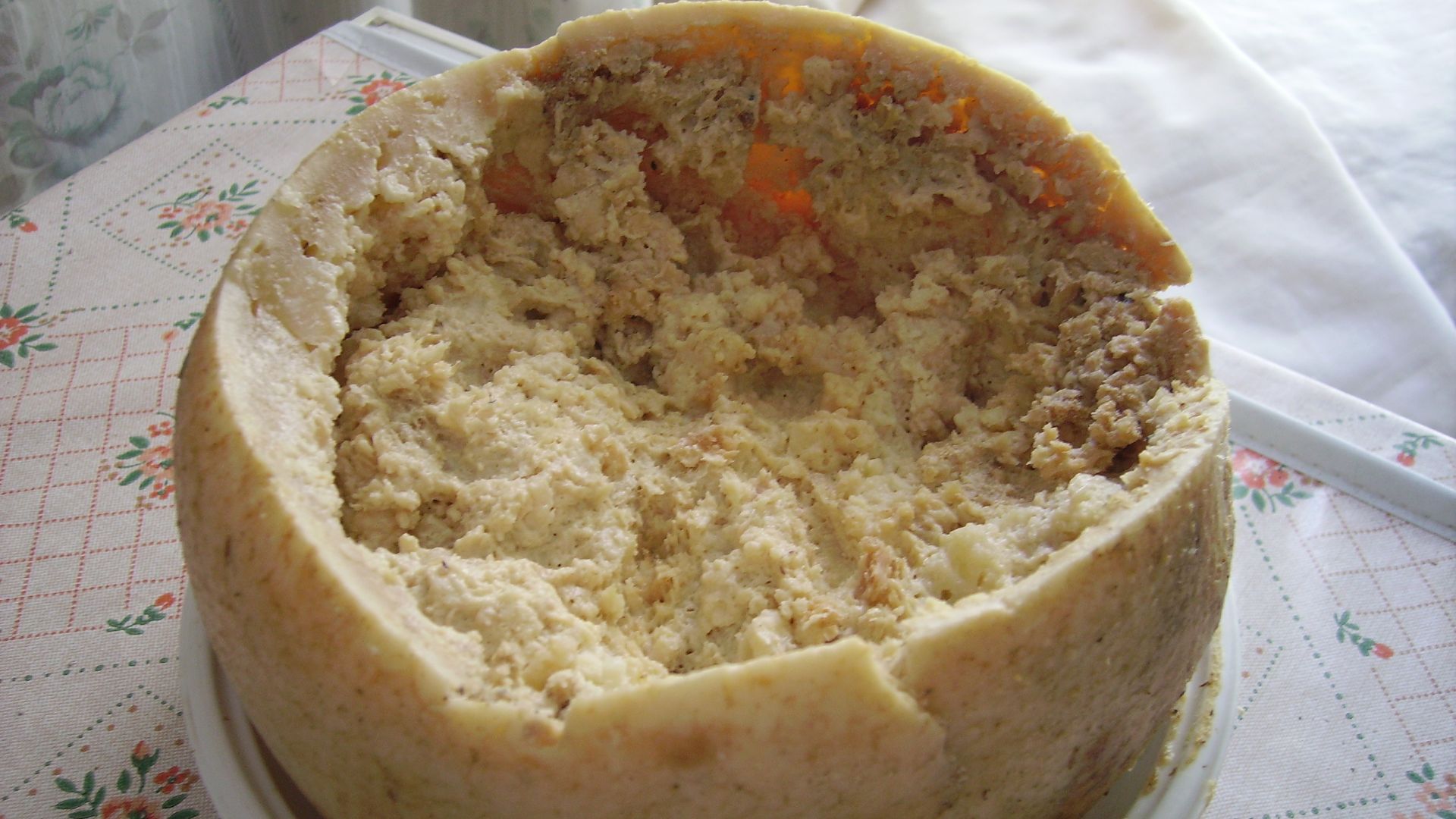 File:Casu Marzu cheese.jpg