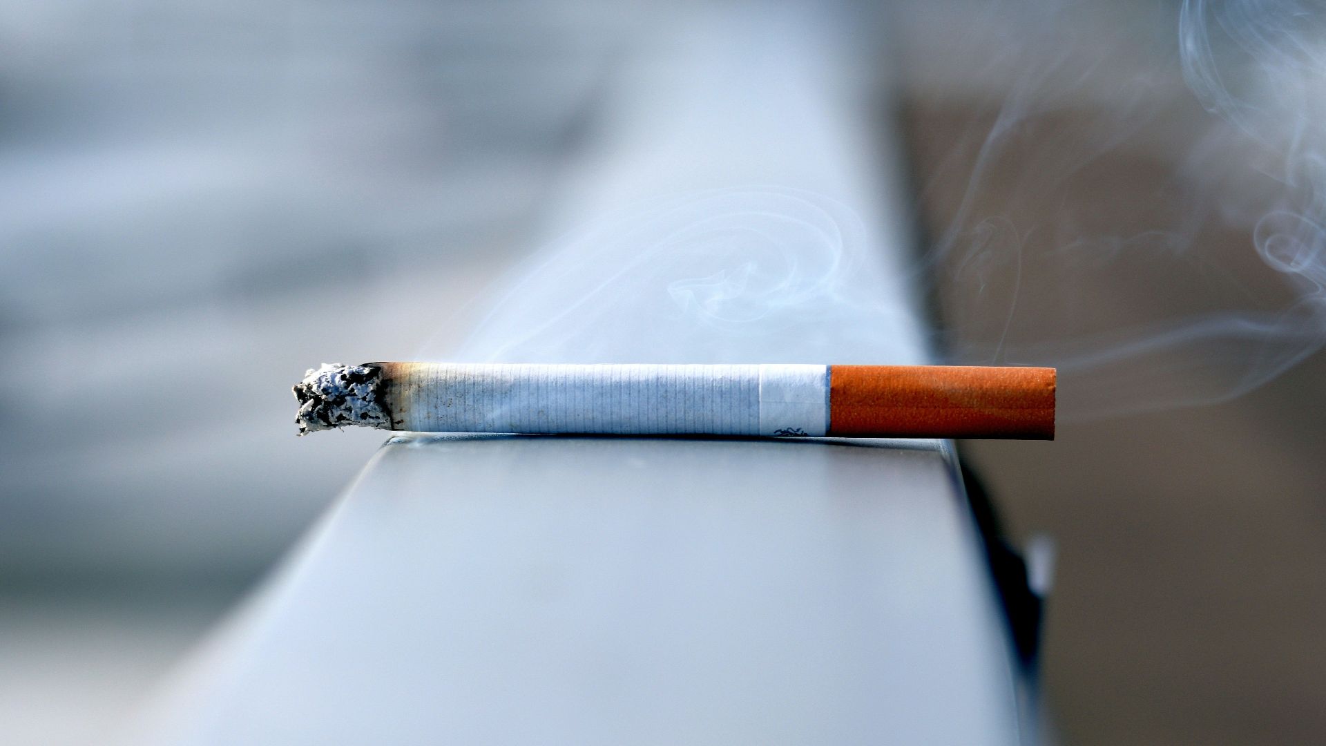 white cigarette stick on white wall