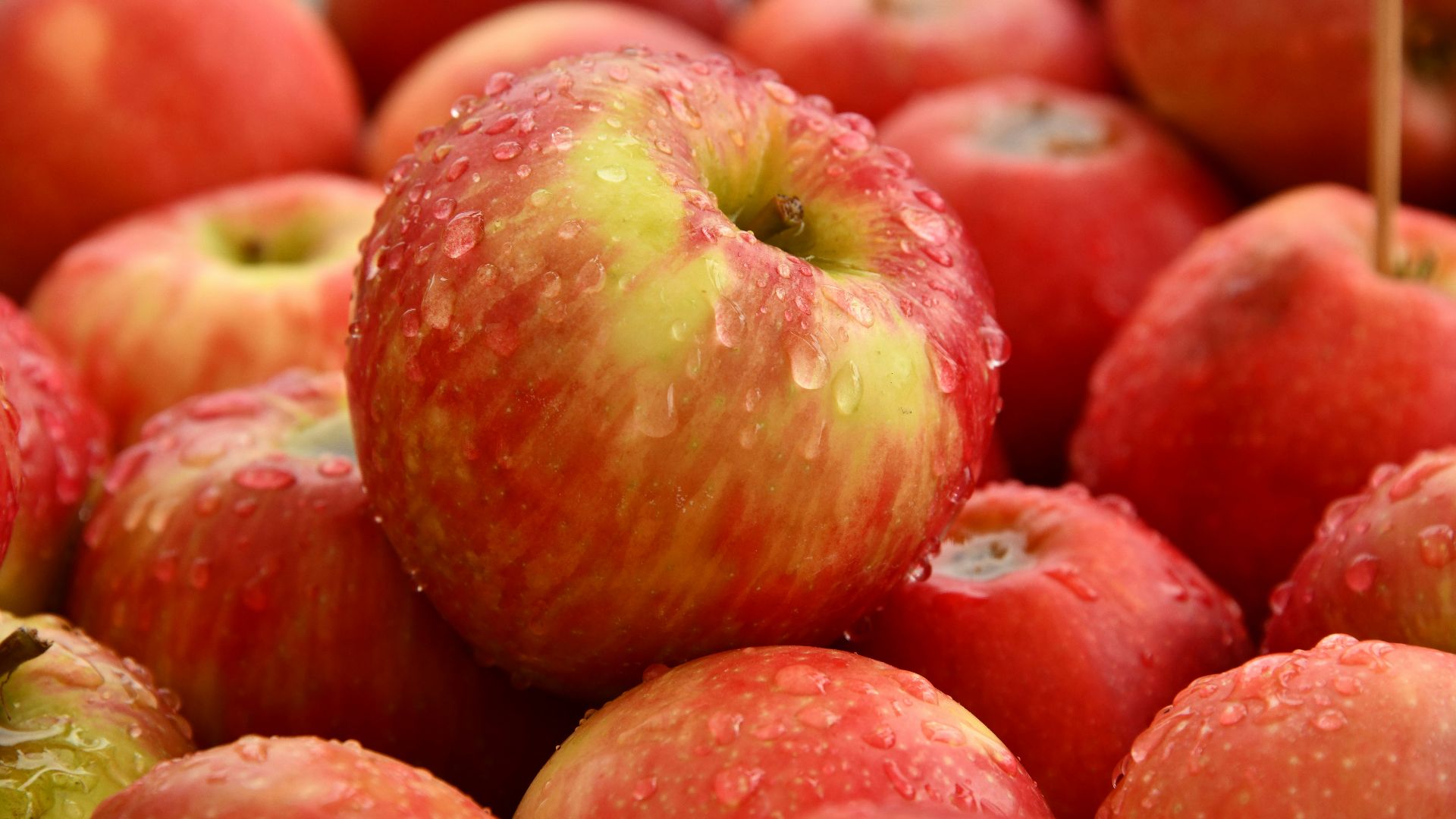 red apple fruit