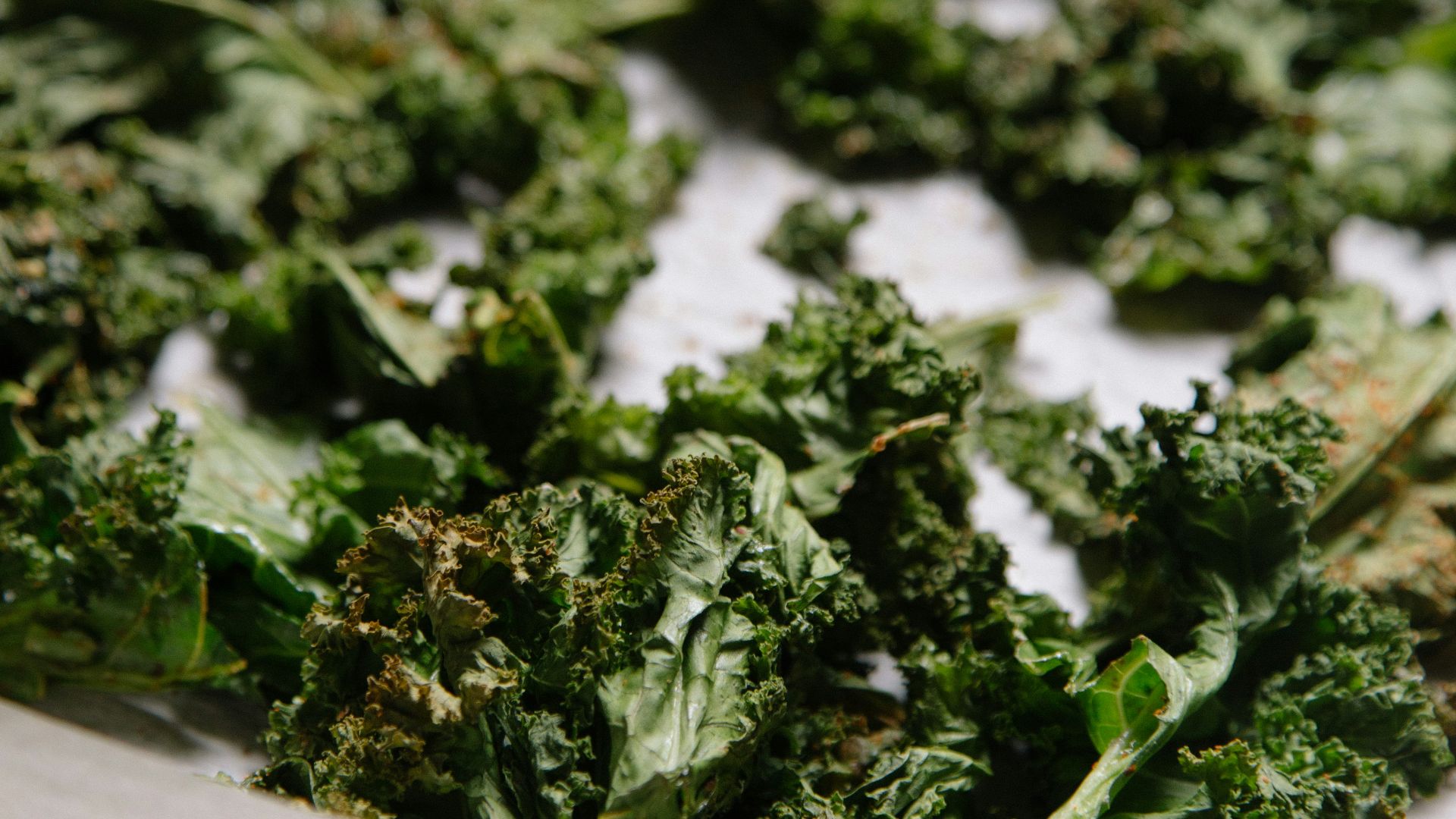 green vegetable plants