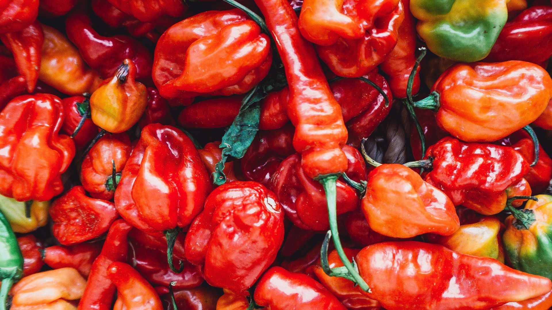 pile of chili