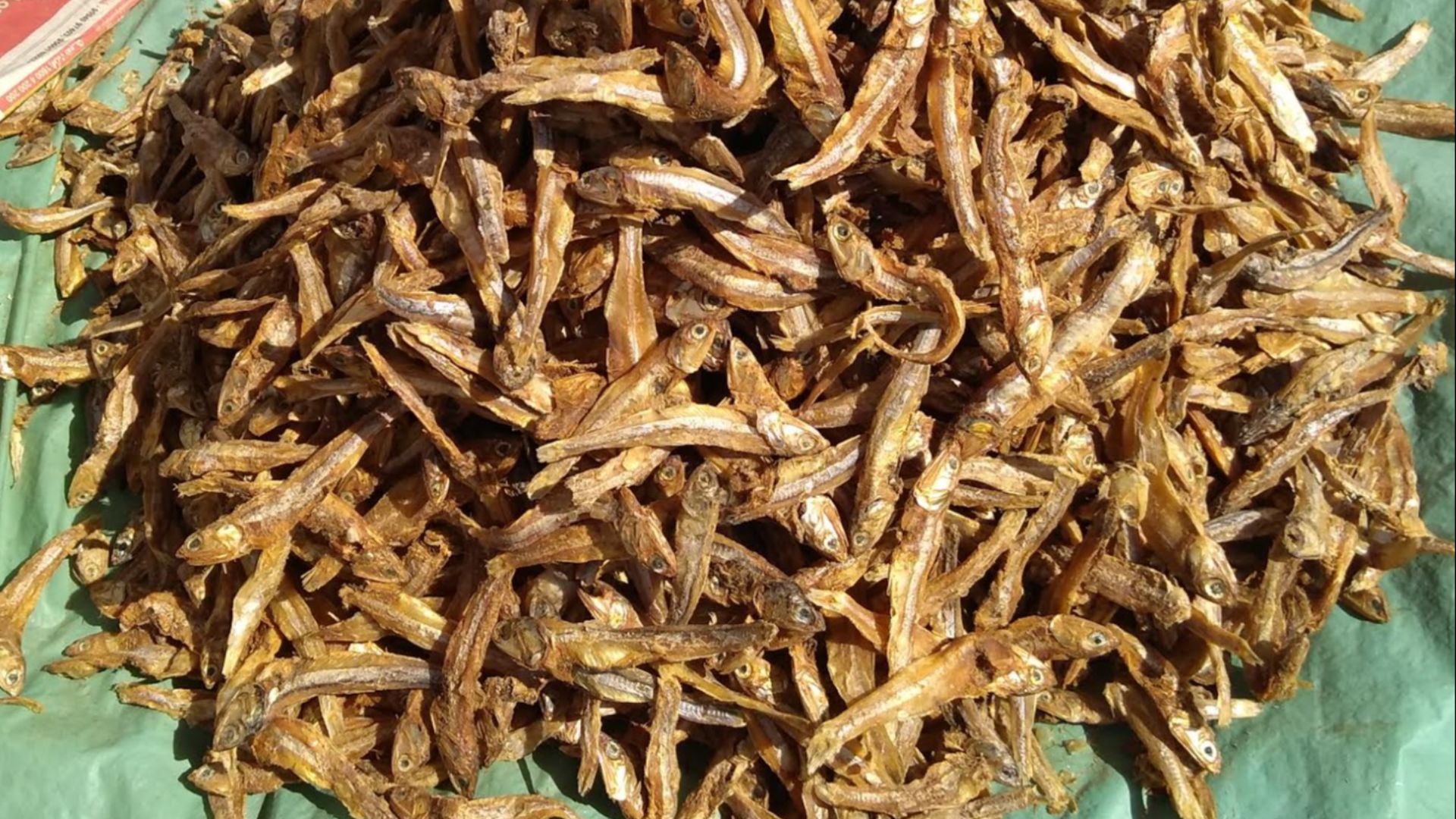 File:Anchovy Nethili Dried Fish.jpg