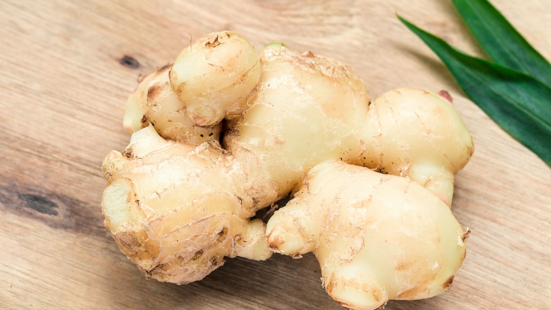 white garlic on brown wooden table