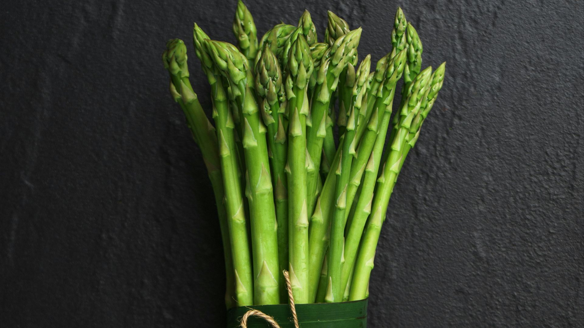 green and brown plant on black textile