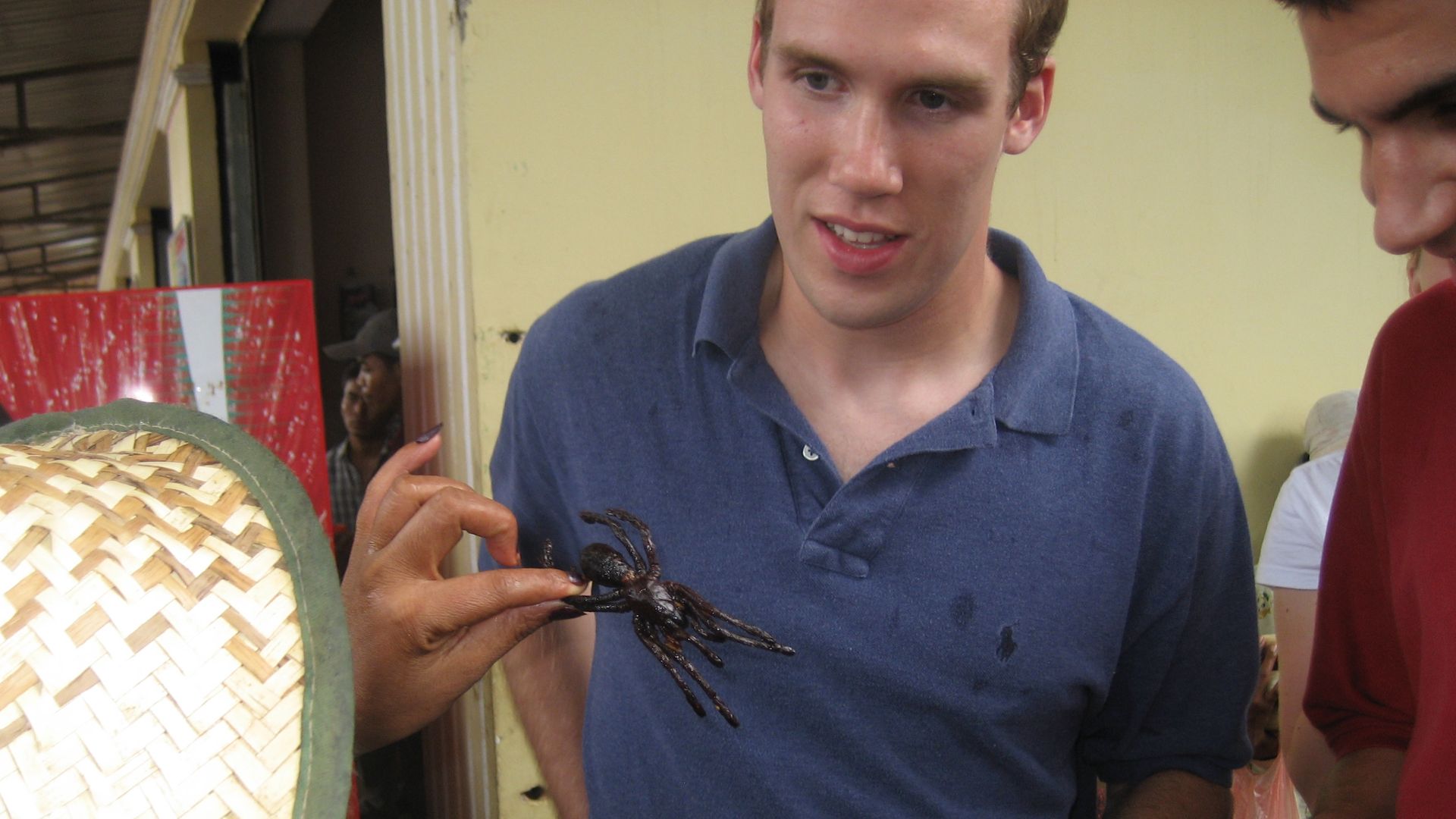 File:Fried spiders being sold.jpg