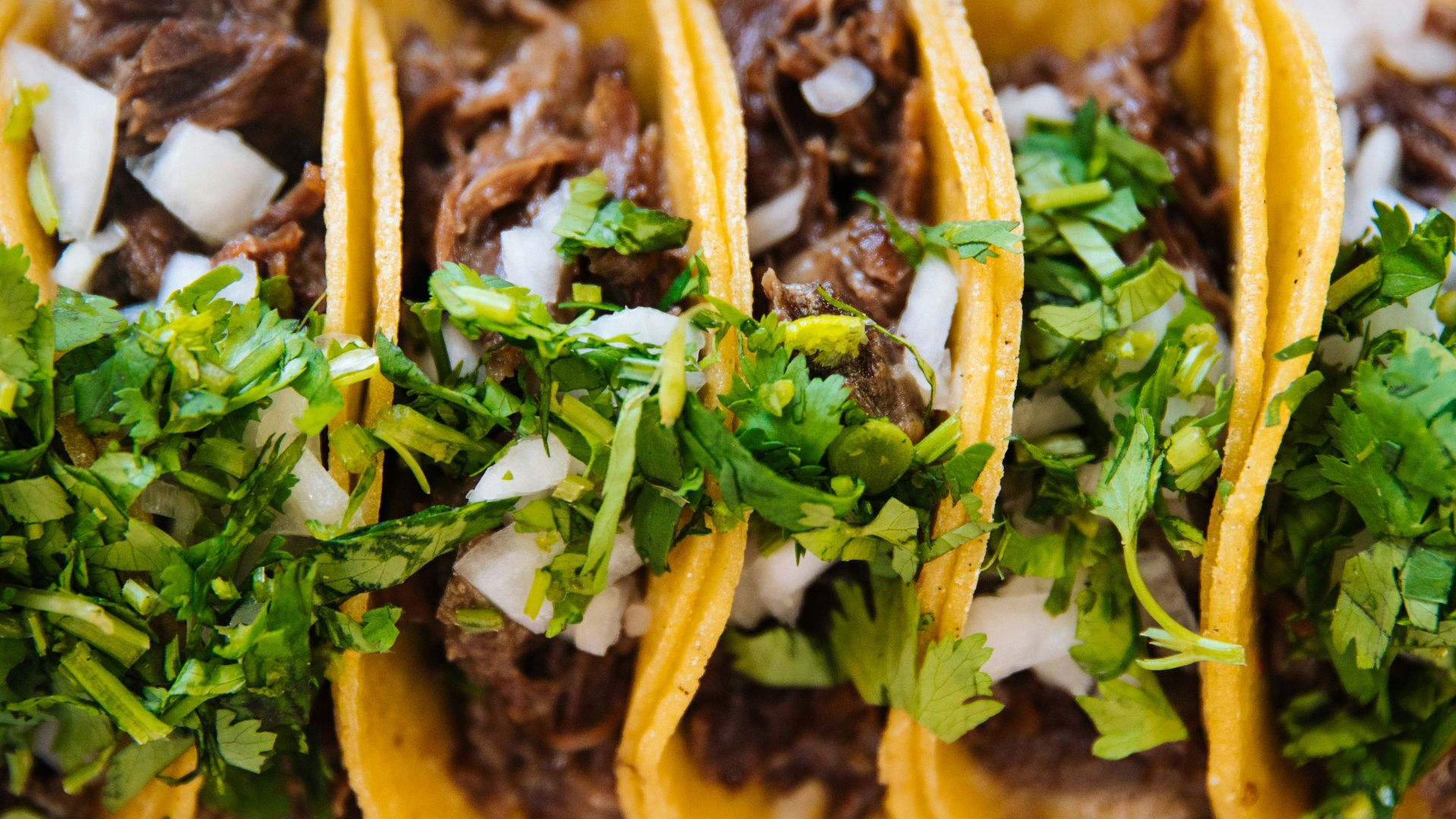 green vegetable on brown soil