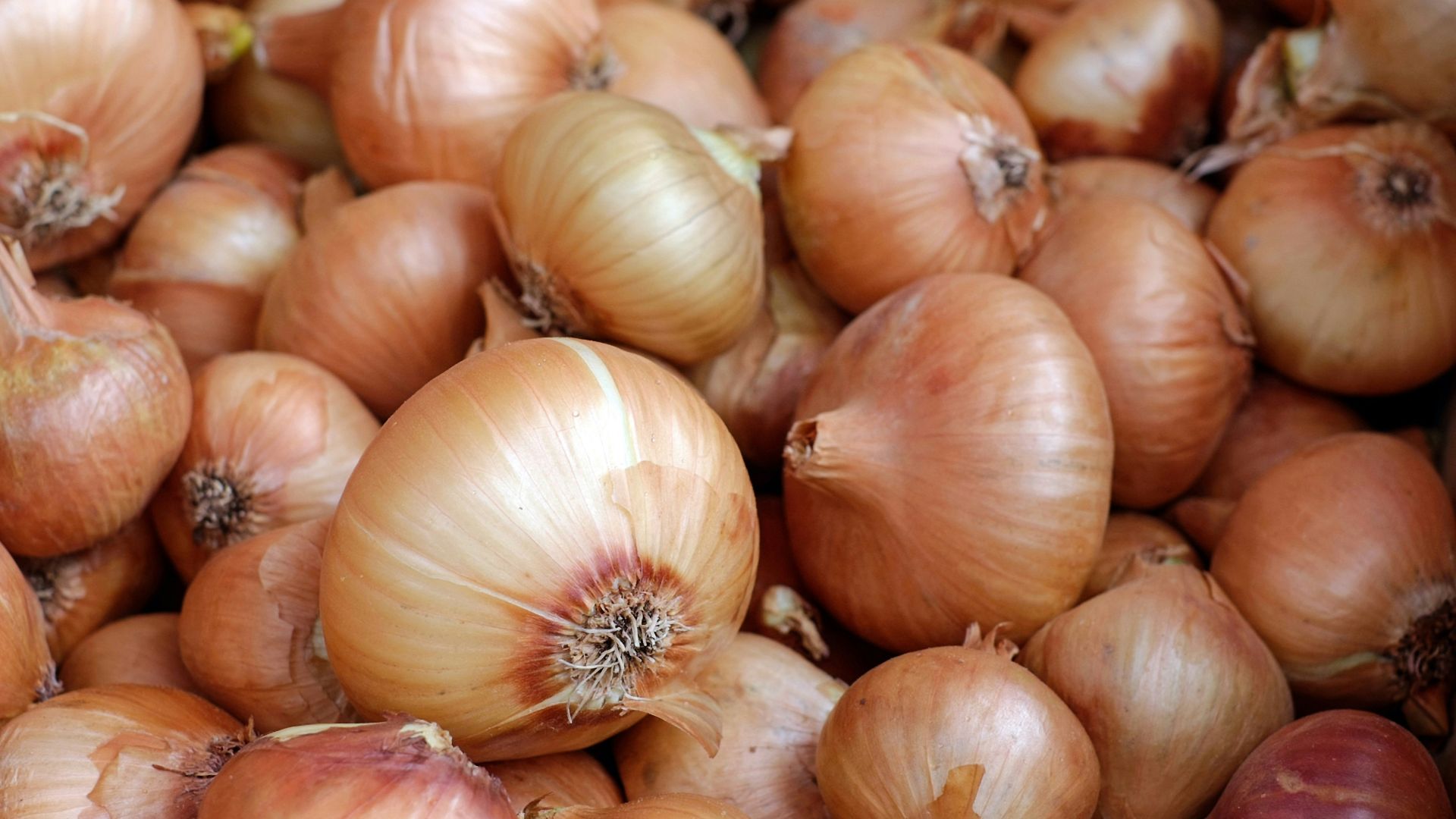 white garlic on brown wooden table