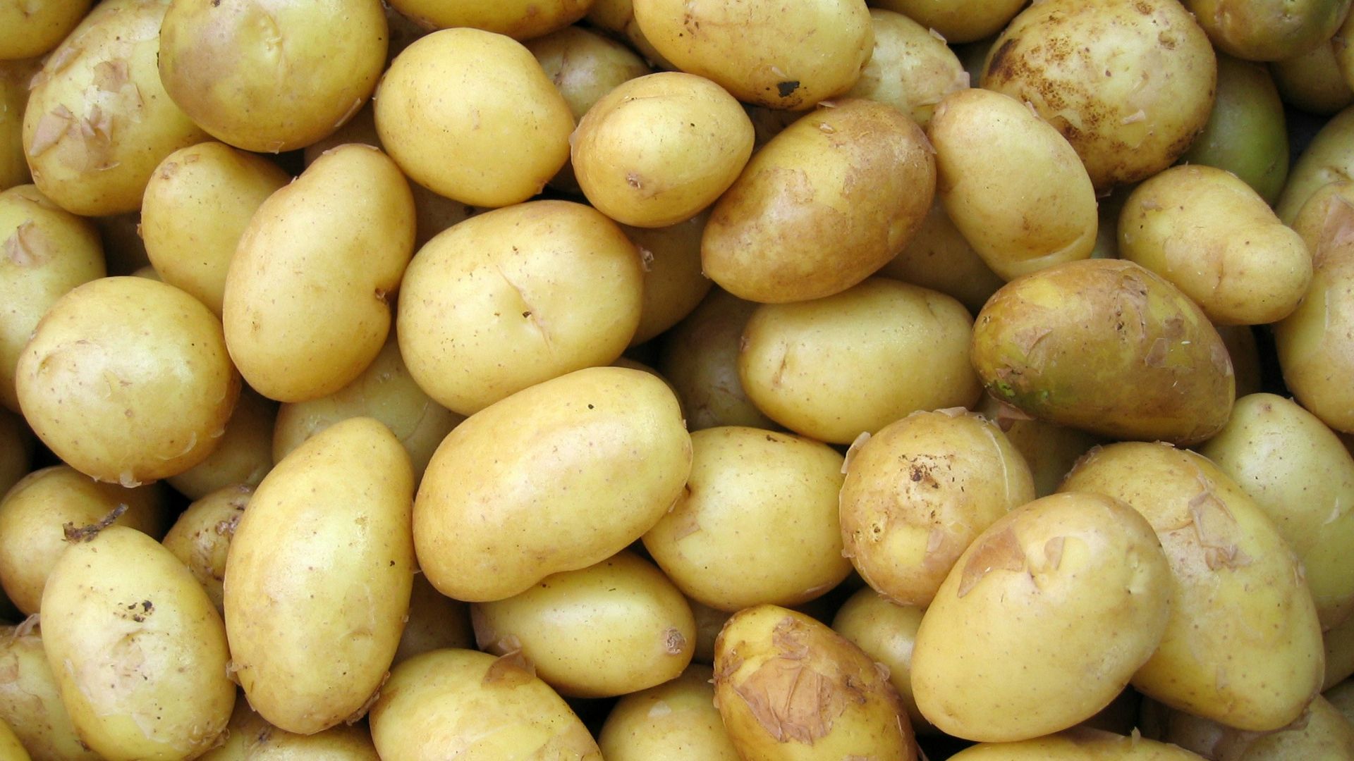 potatoes