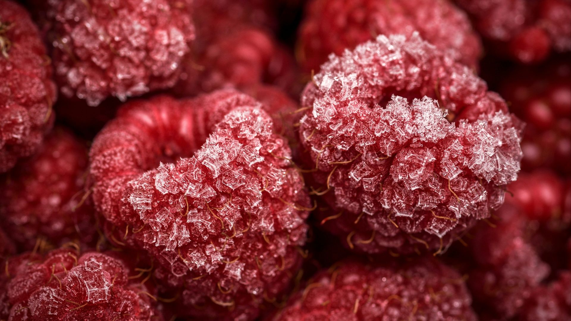 close-up photo of red fruits