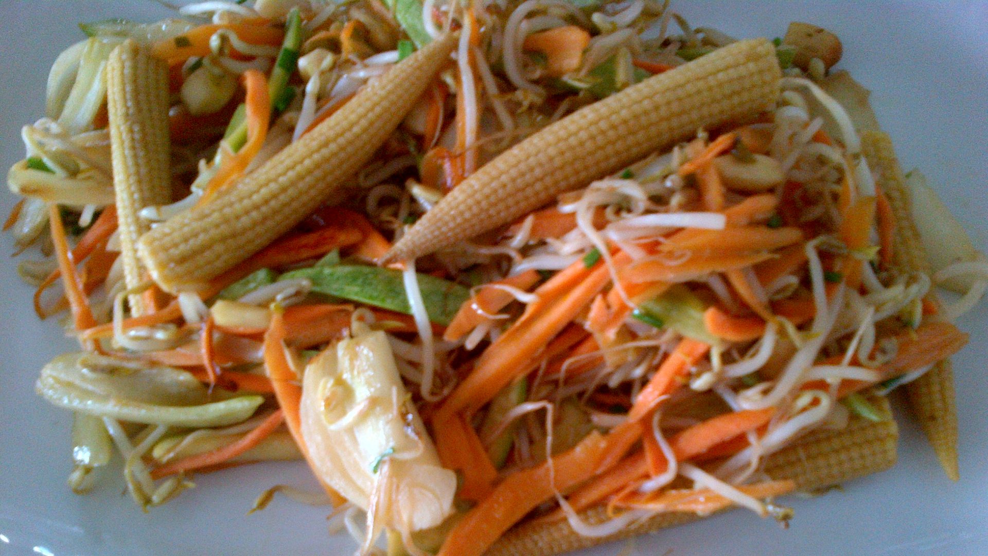 File:Chop suey made in Ankara.jpg