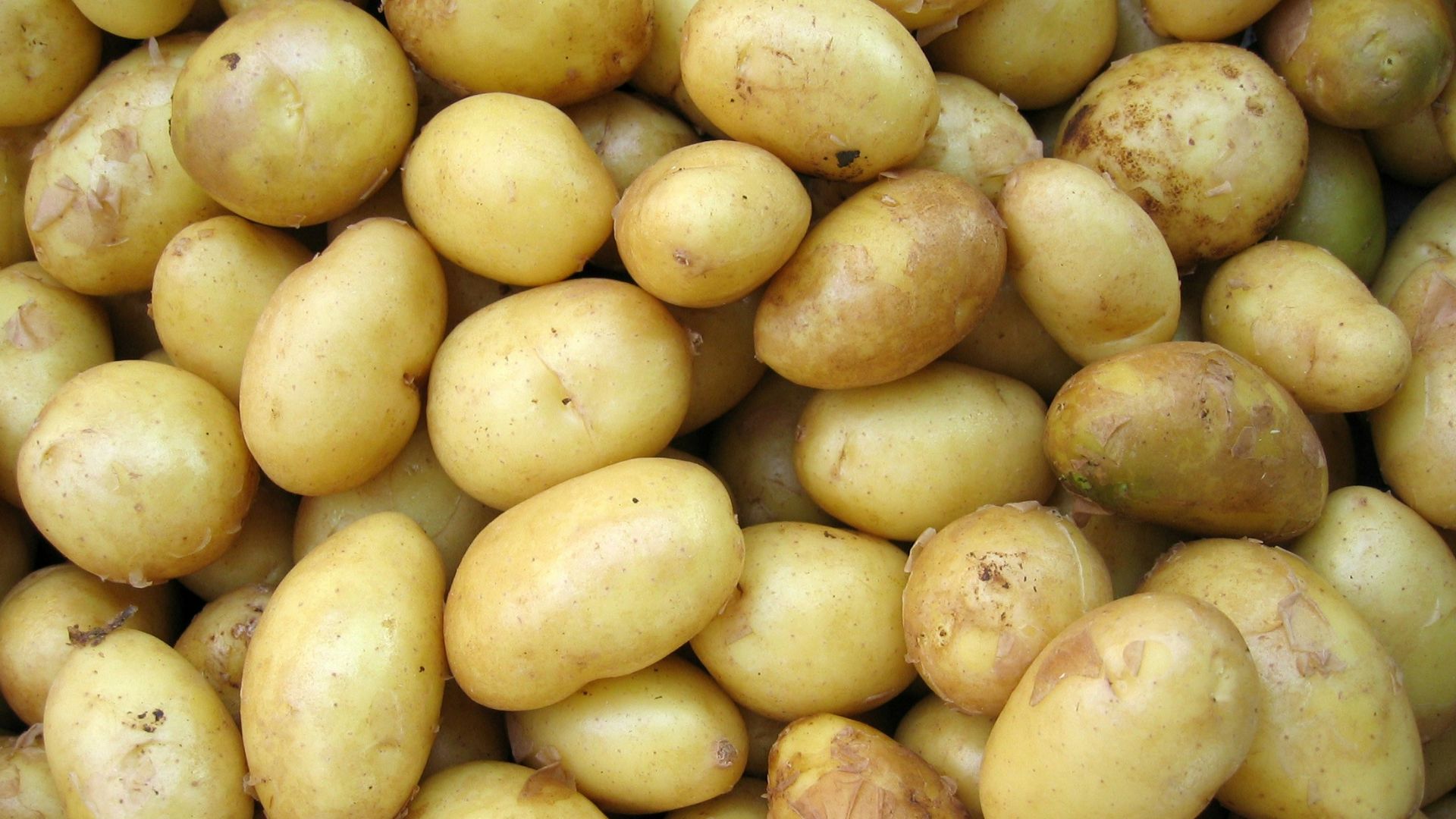 potatoes