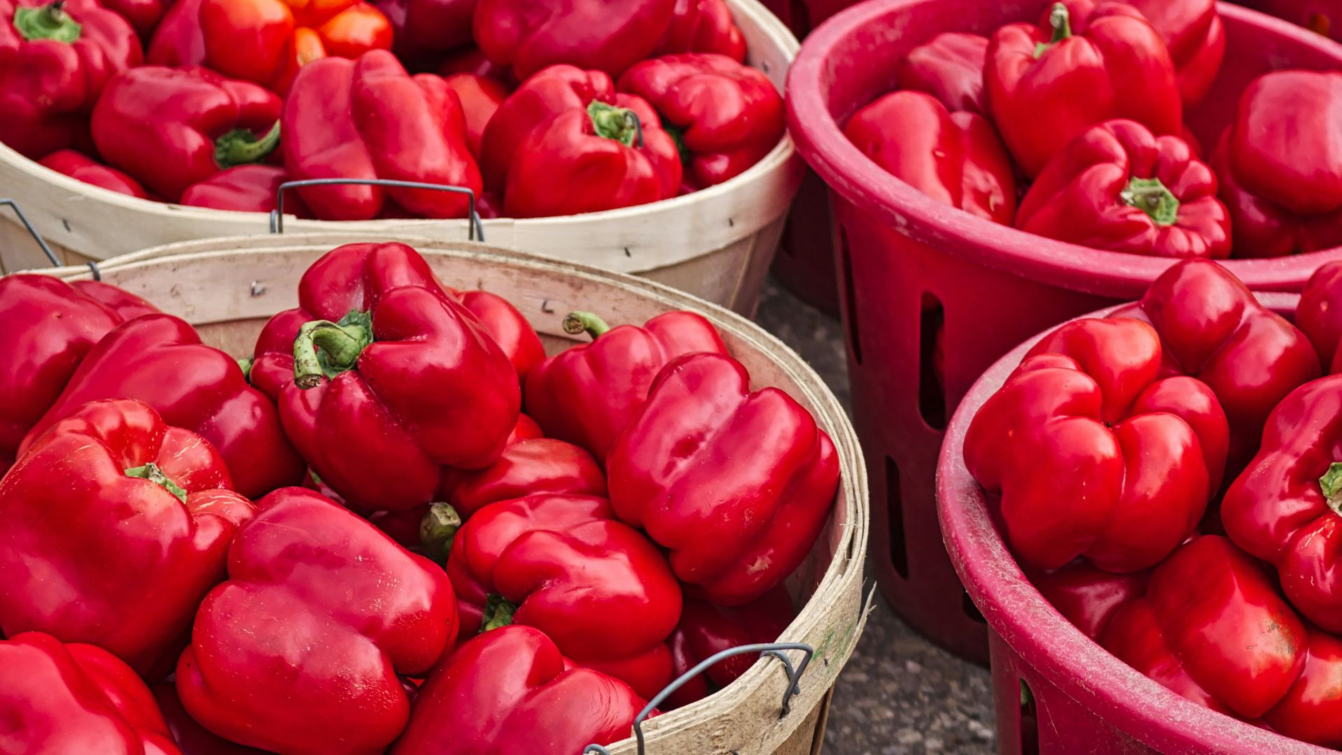 red bell pepper lot in baskets