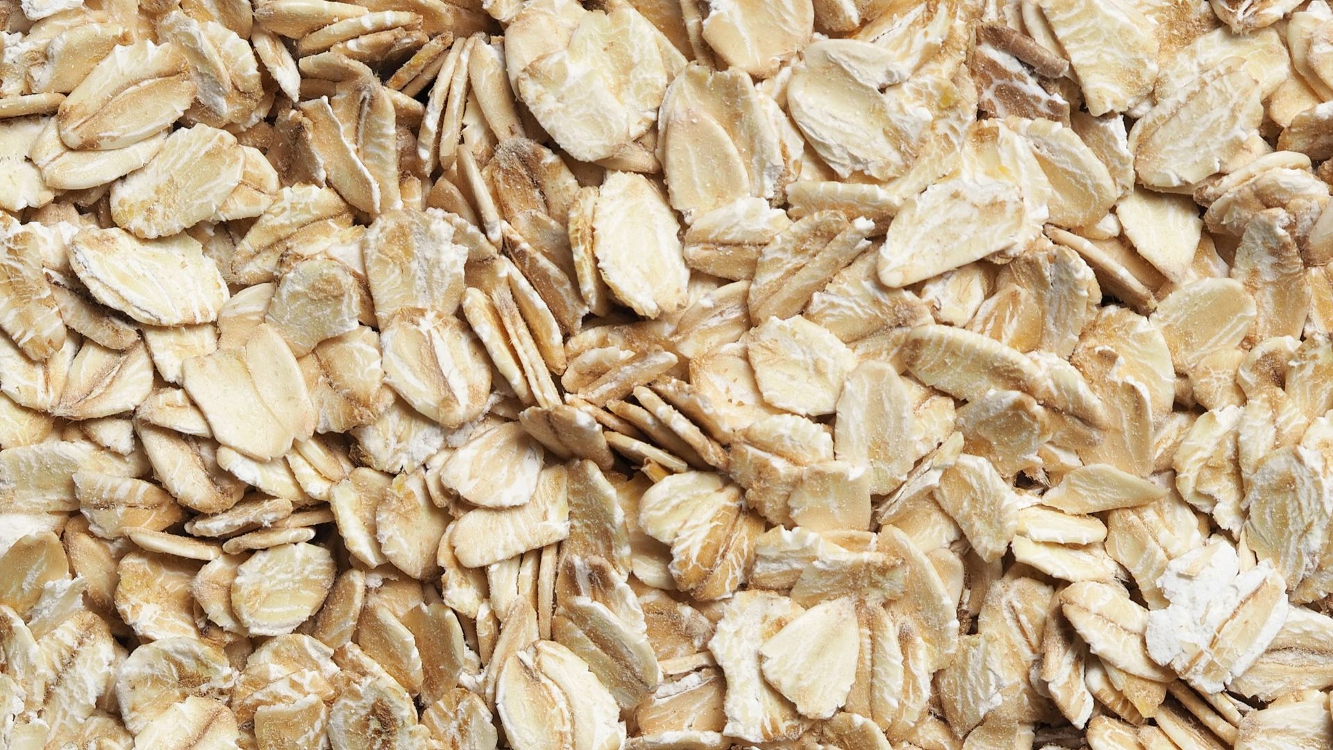 brown dried leaves on ground