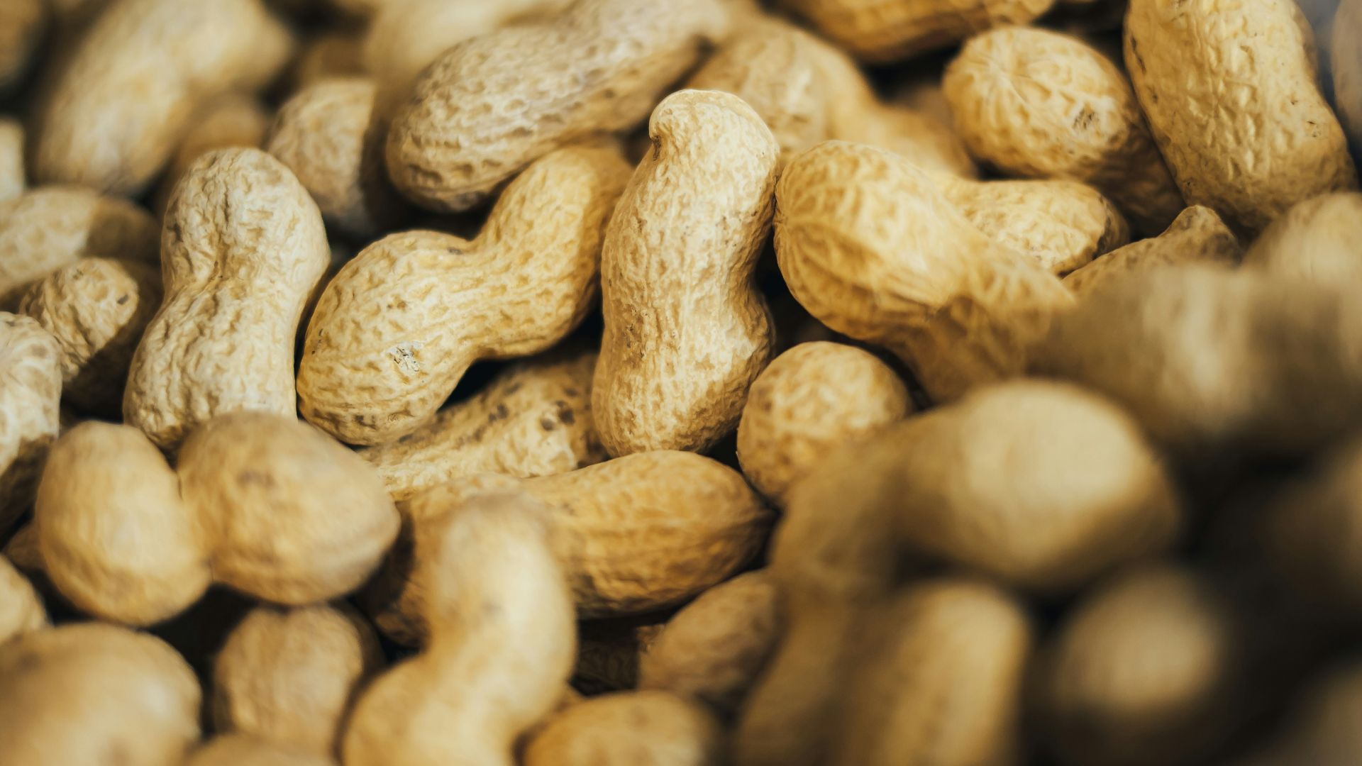 pile of peanuts