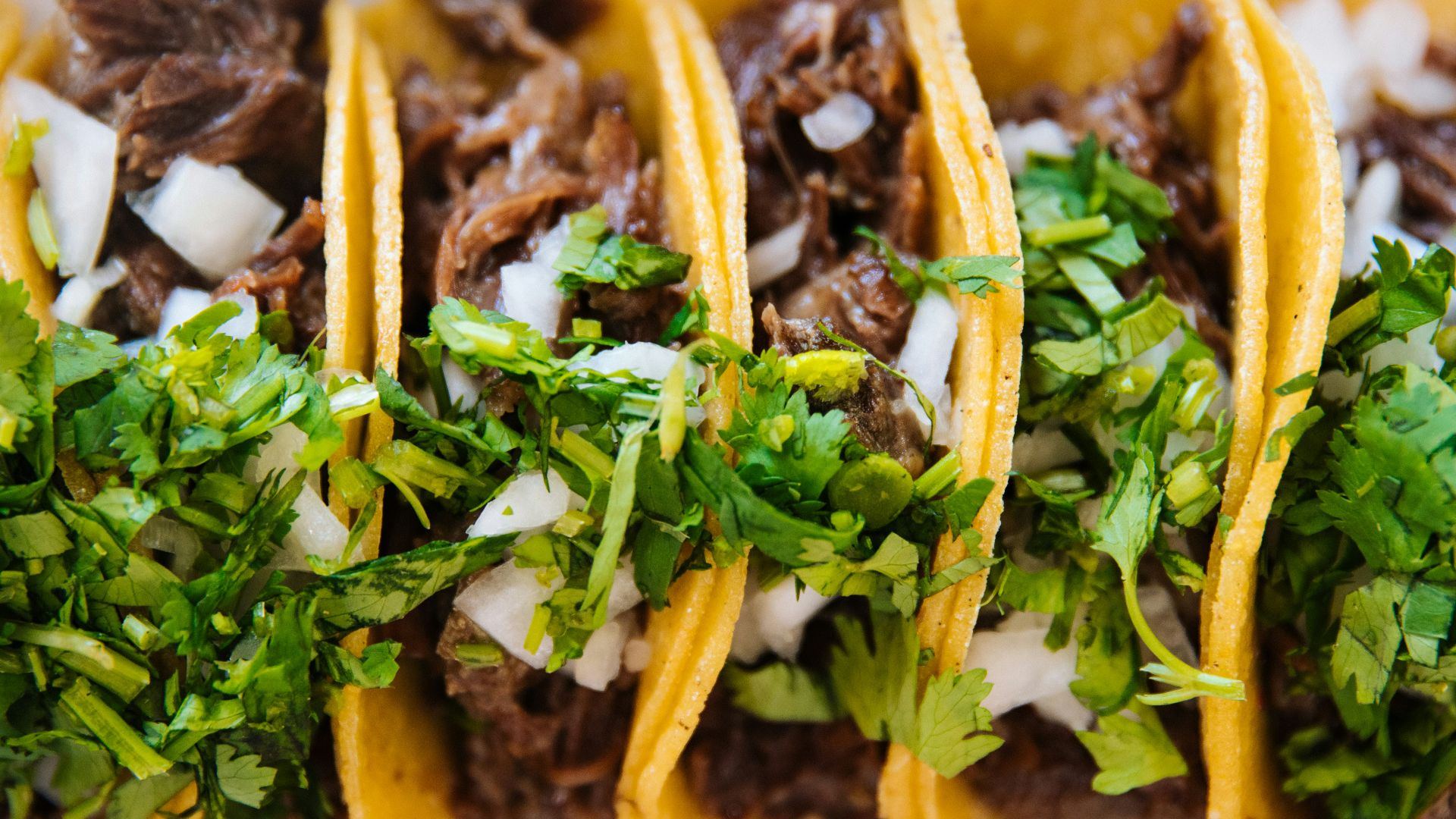 green vegetable on brown soil