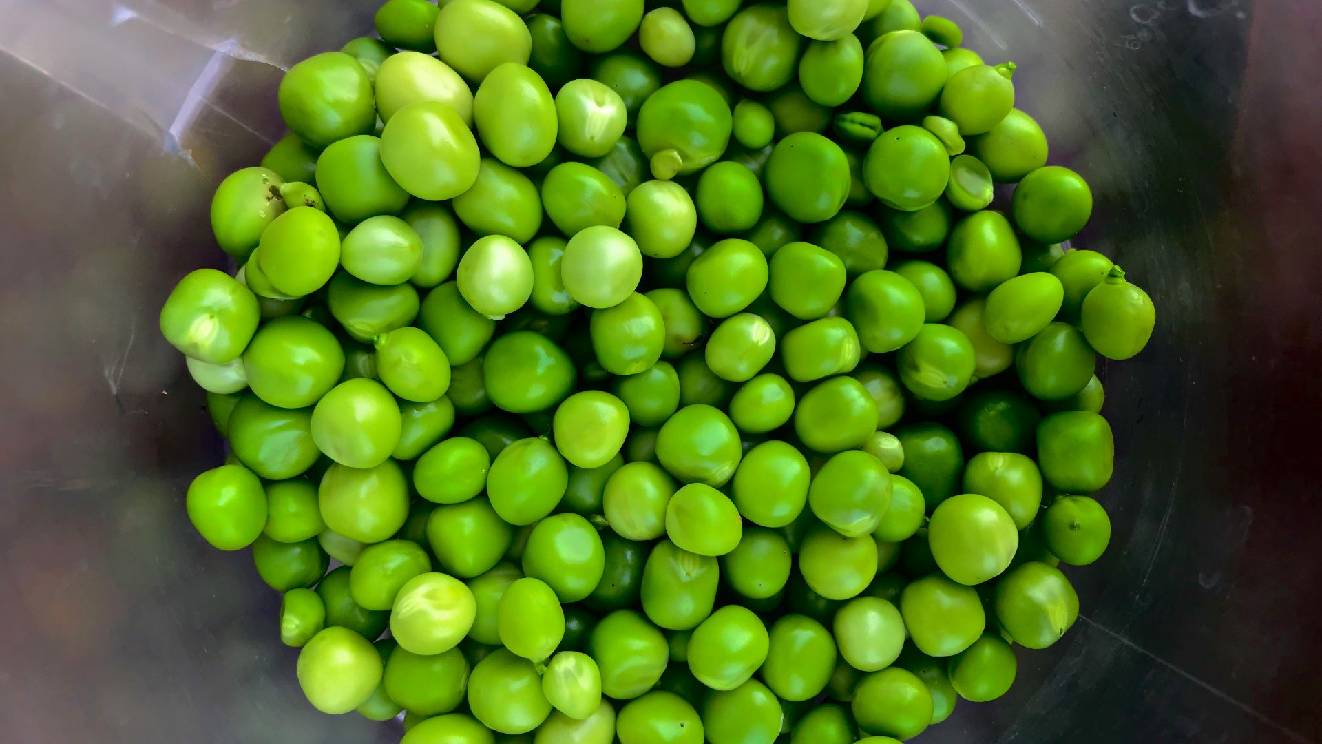 green peace