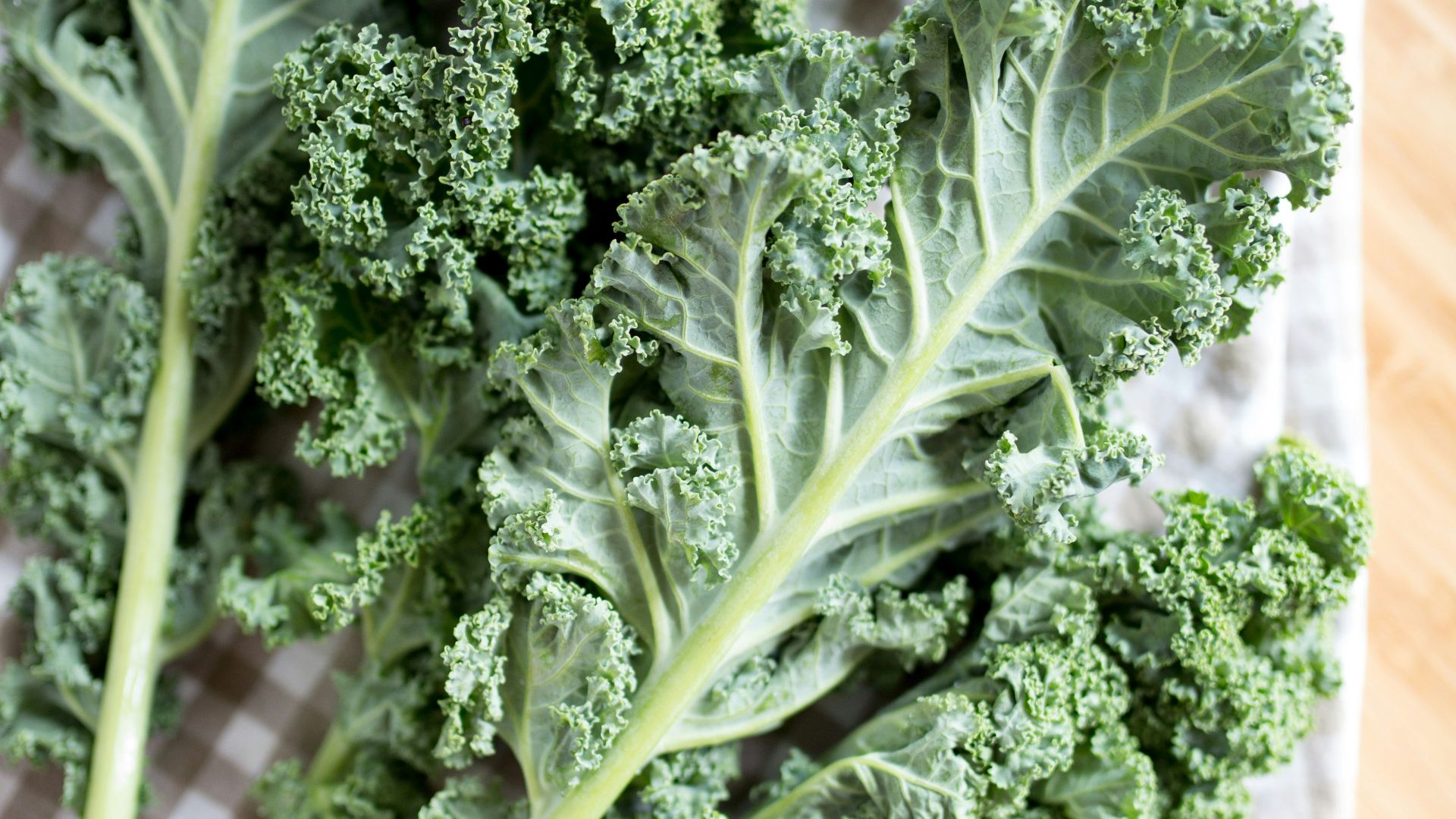 green leaf vegetable