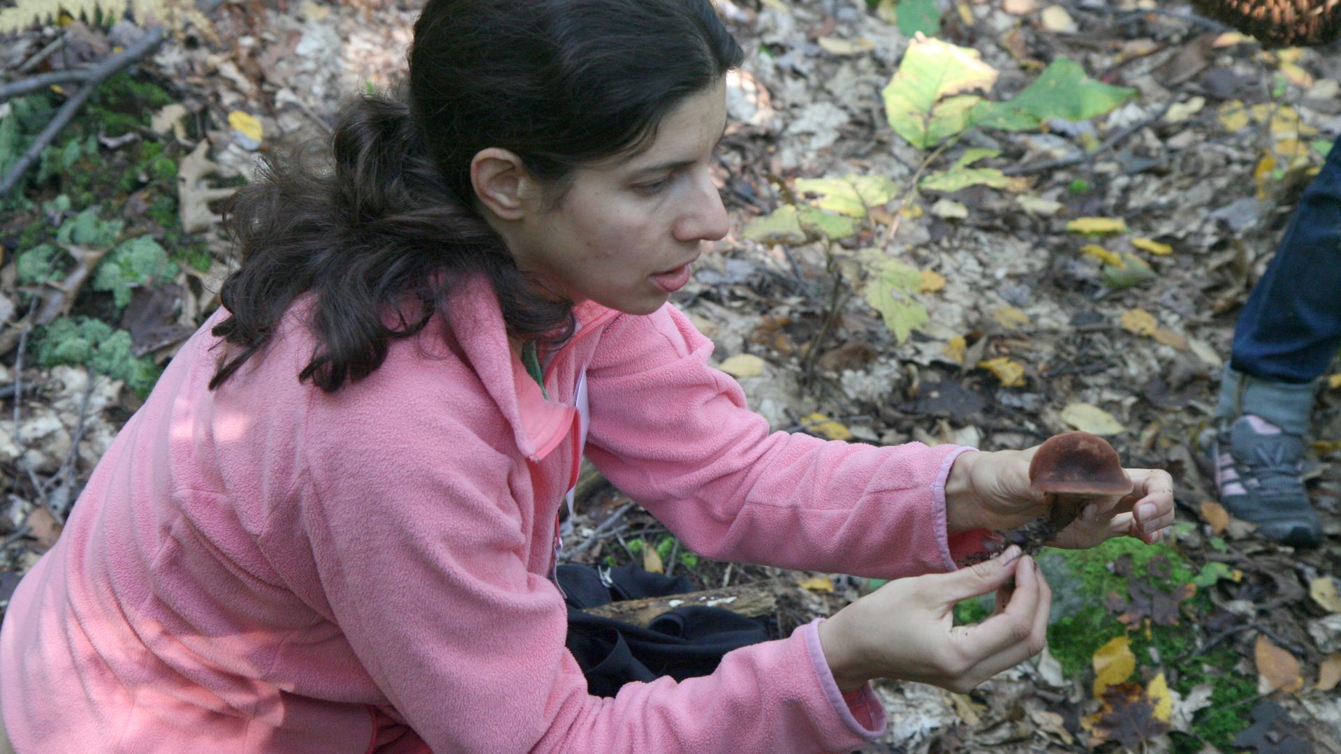 File:2012-09-29 Mushroom hunting.jpg