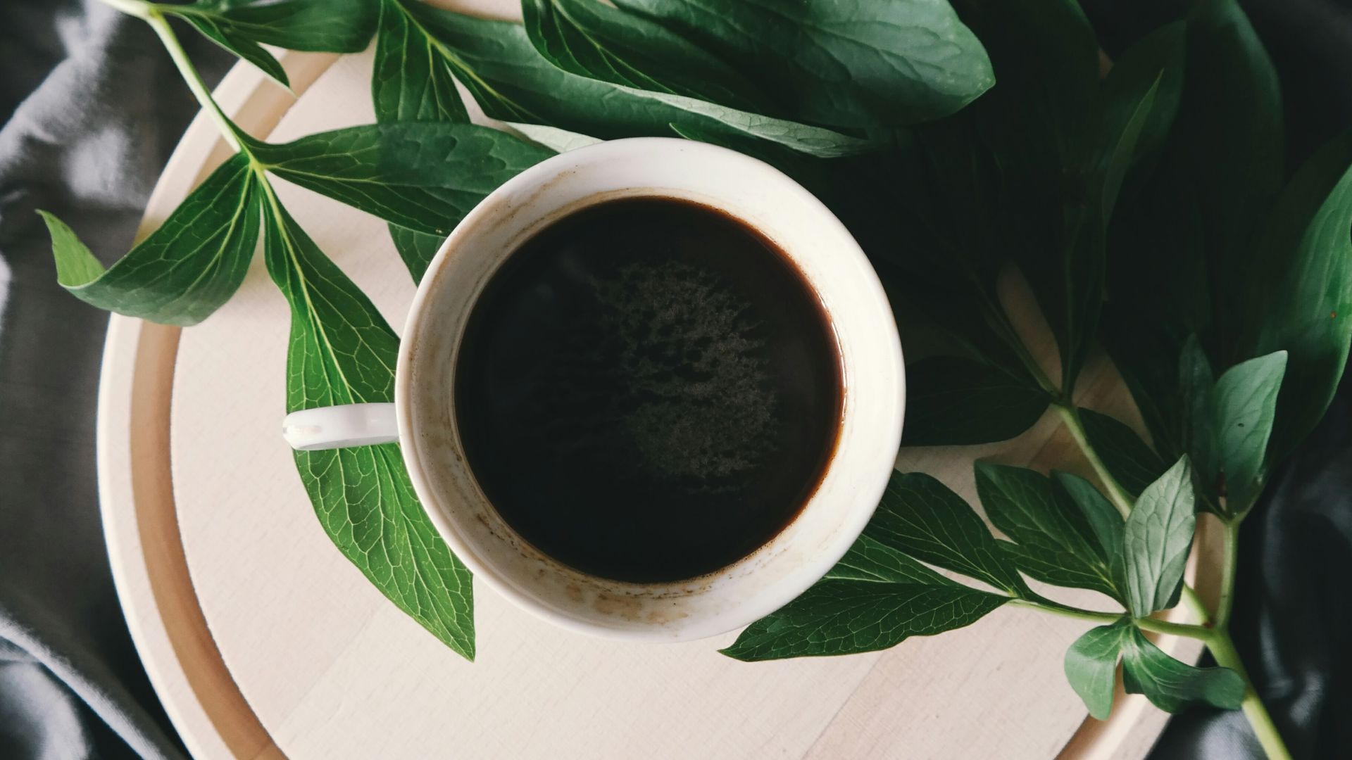 white ceramic mug beside green leaves