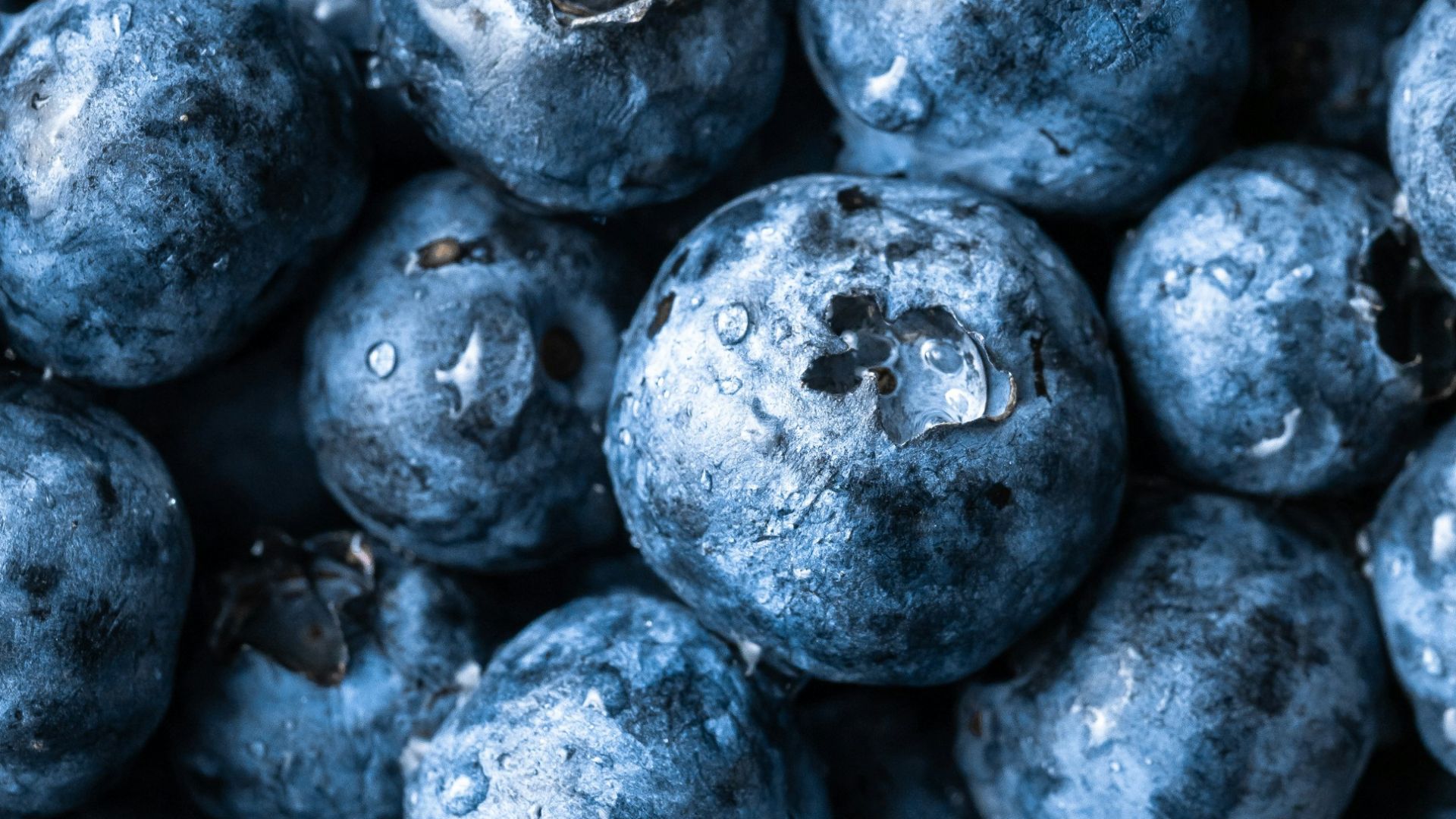 grayscale photography of round fruits