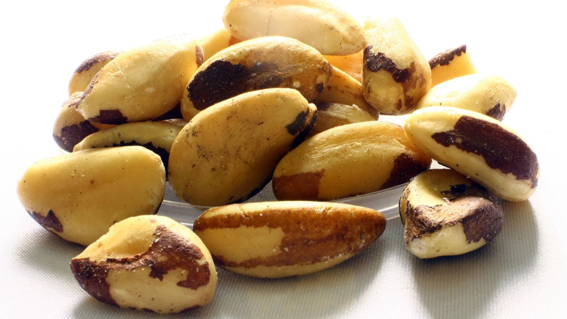 Gadini