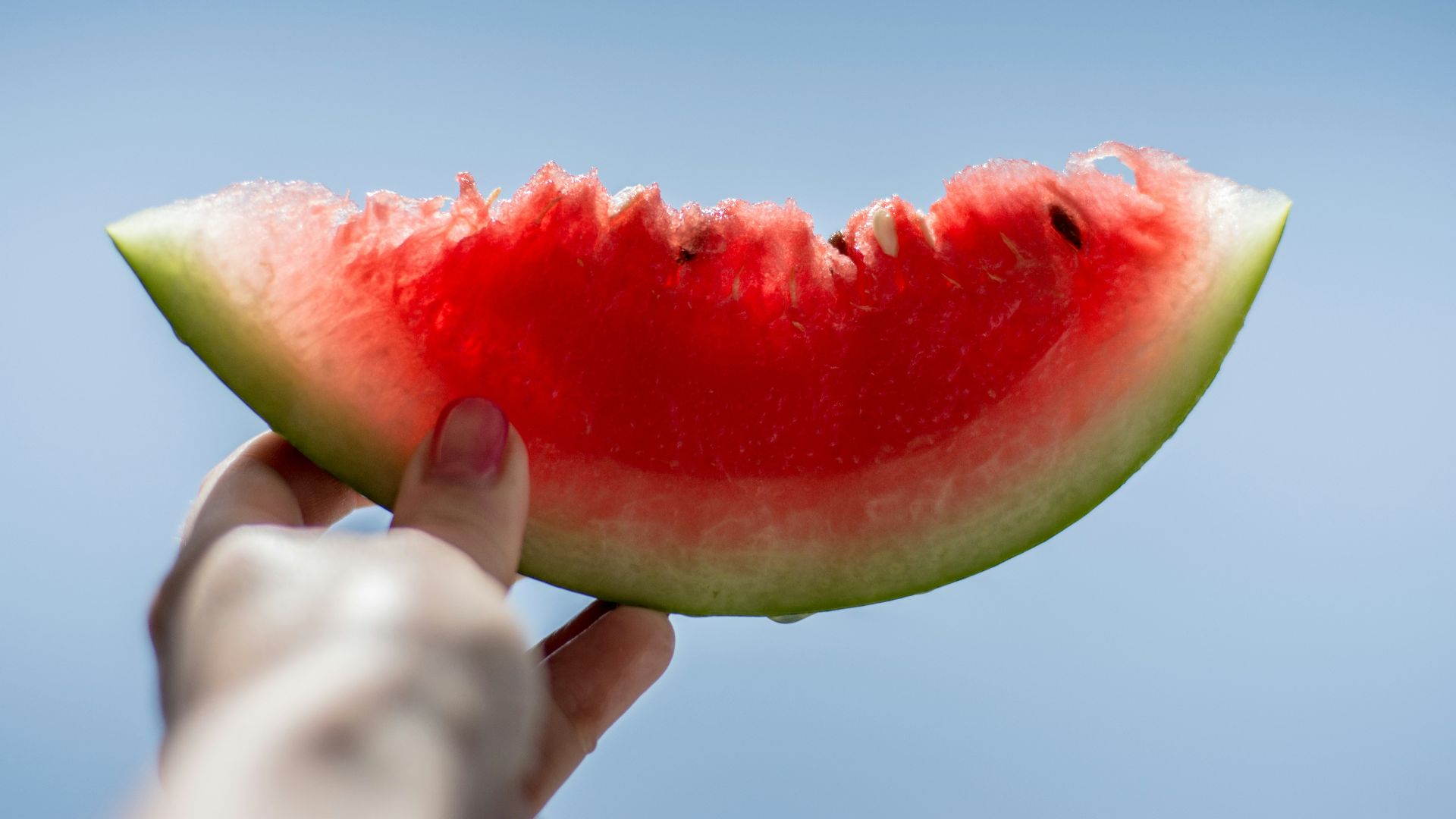 person holding sliced watermelon