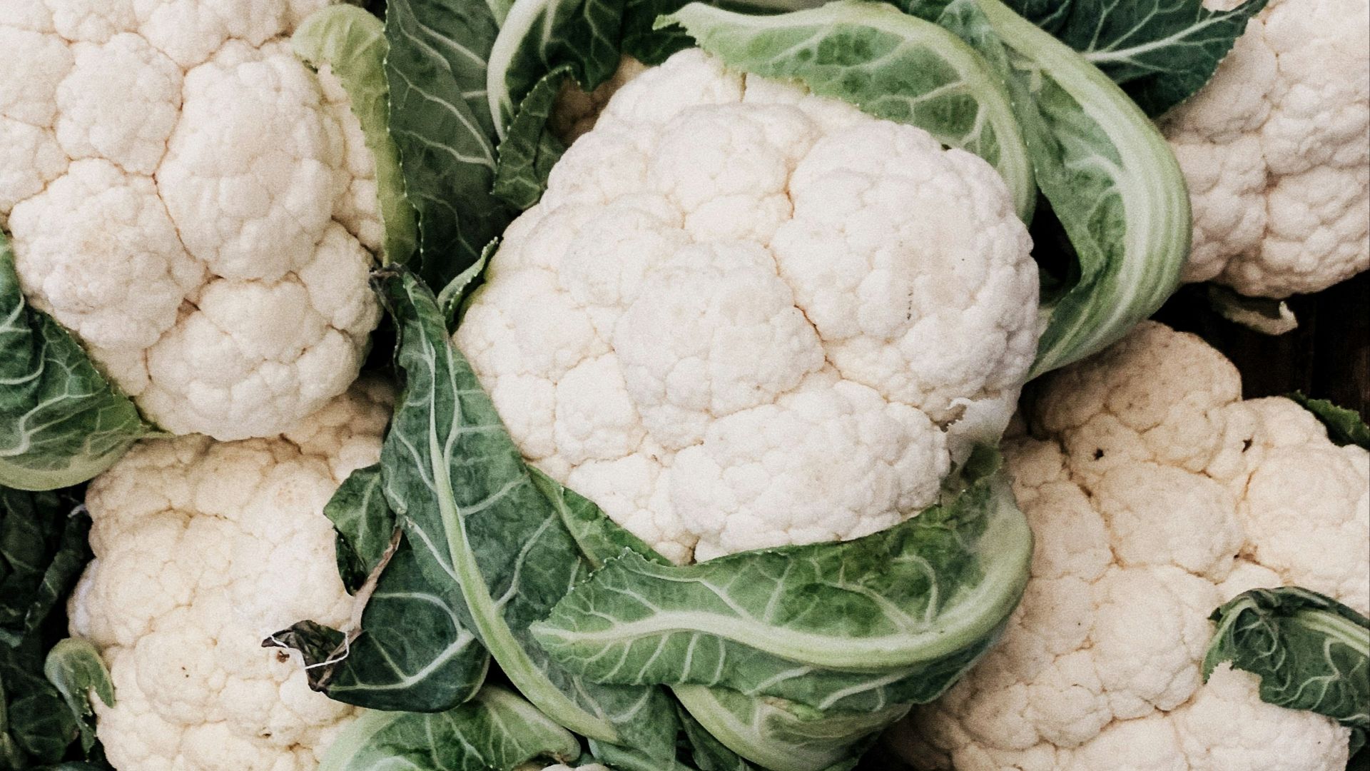cauliflower lot