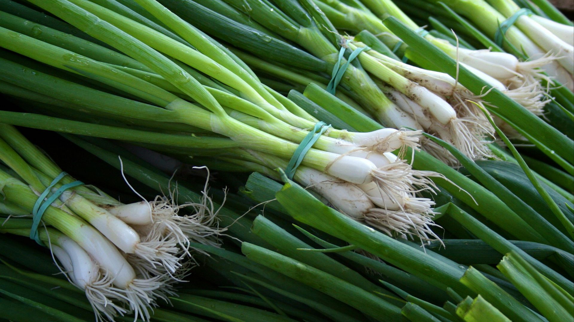 green and white vegetable on brown wooden table