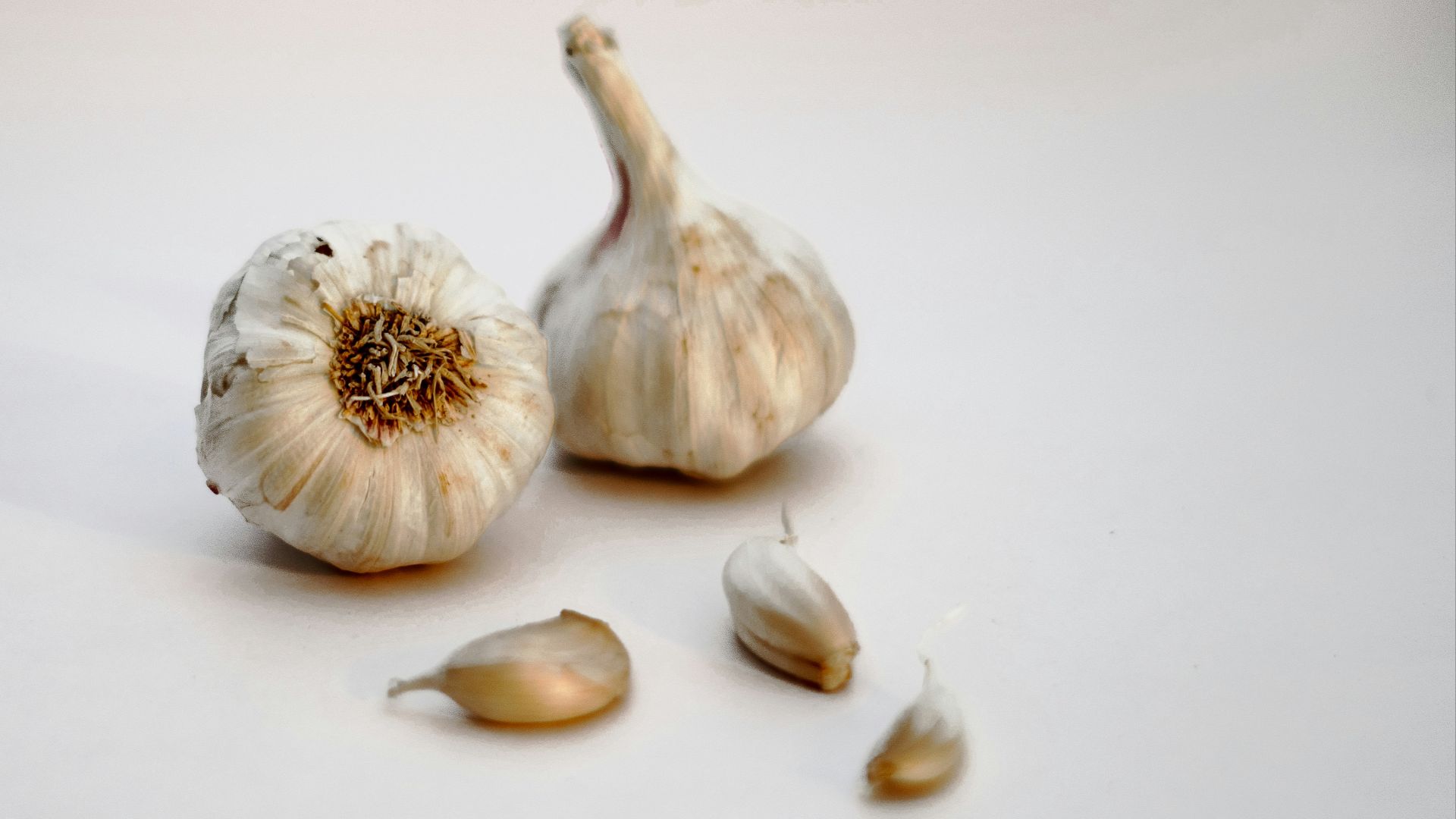 garlic bulb and garlic on white surface