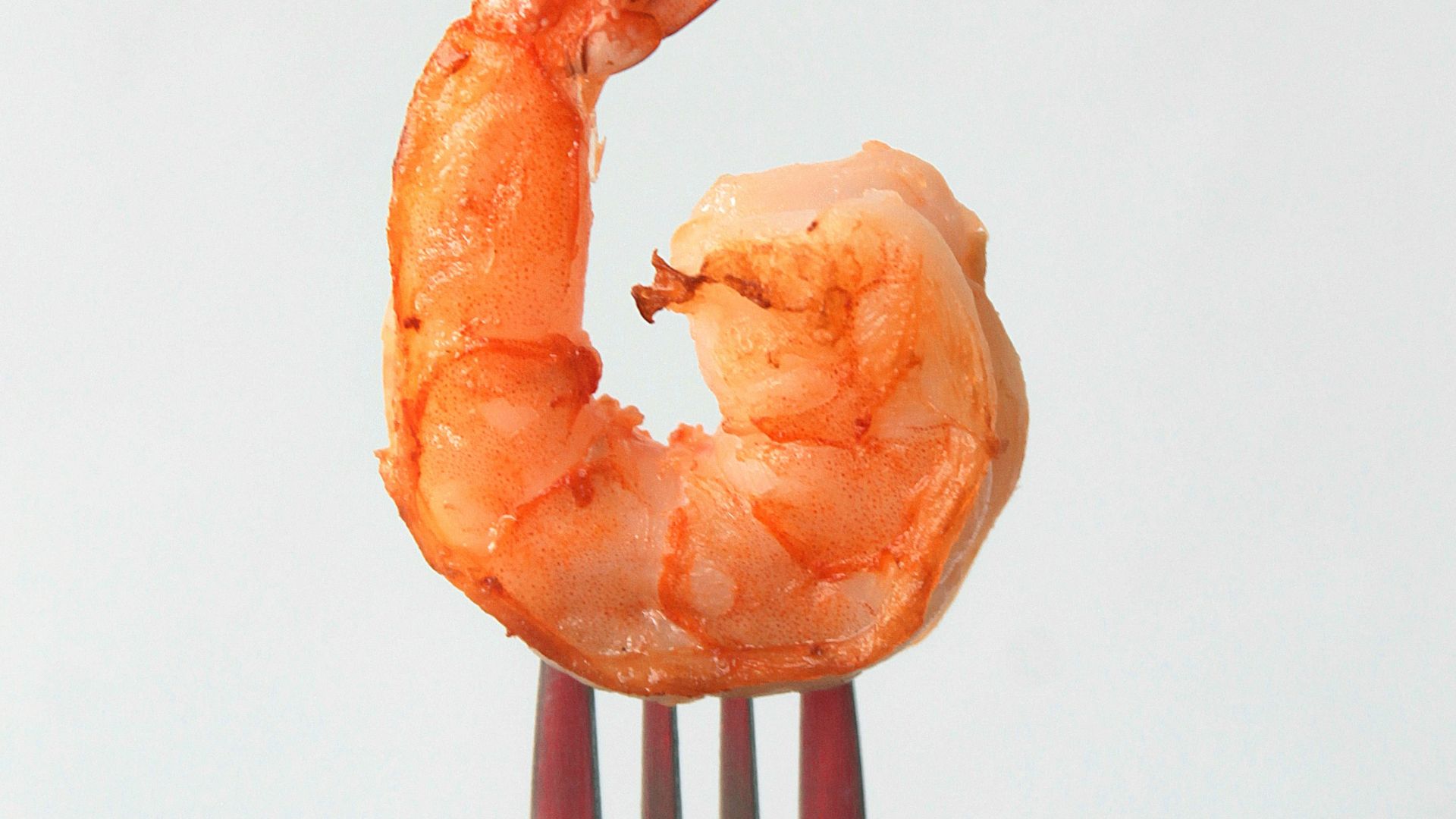 orange clay on stainless steel fork