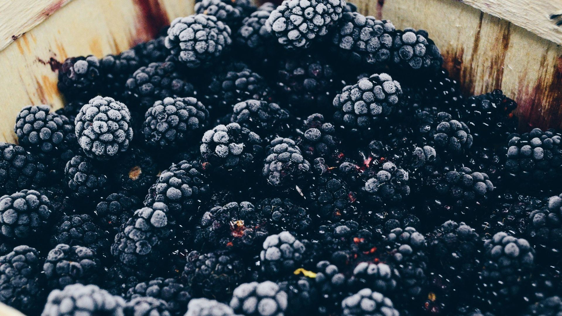 photo of blackberry fruits