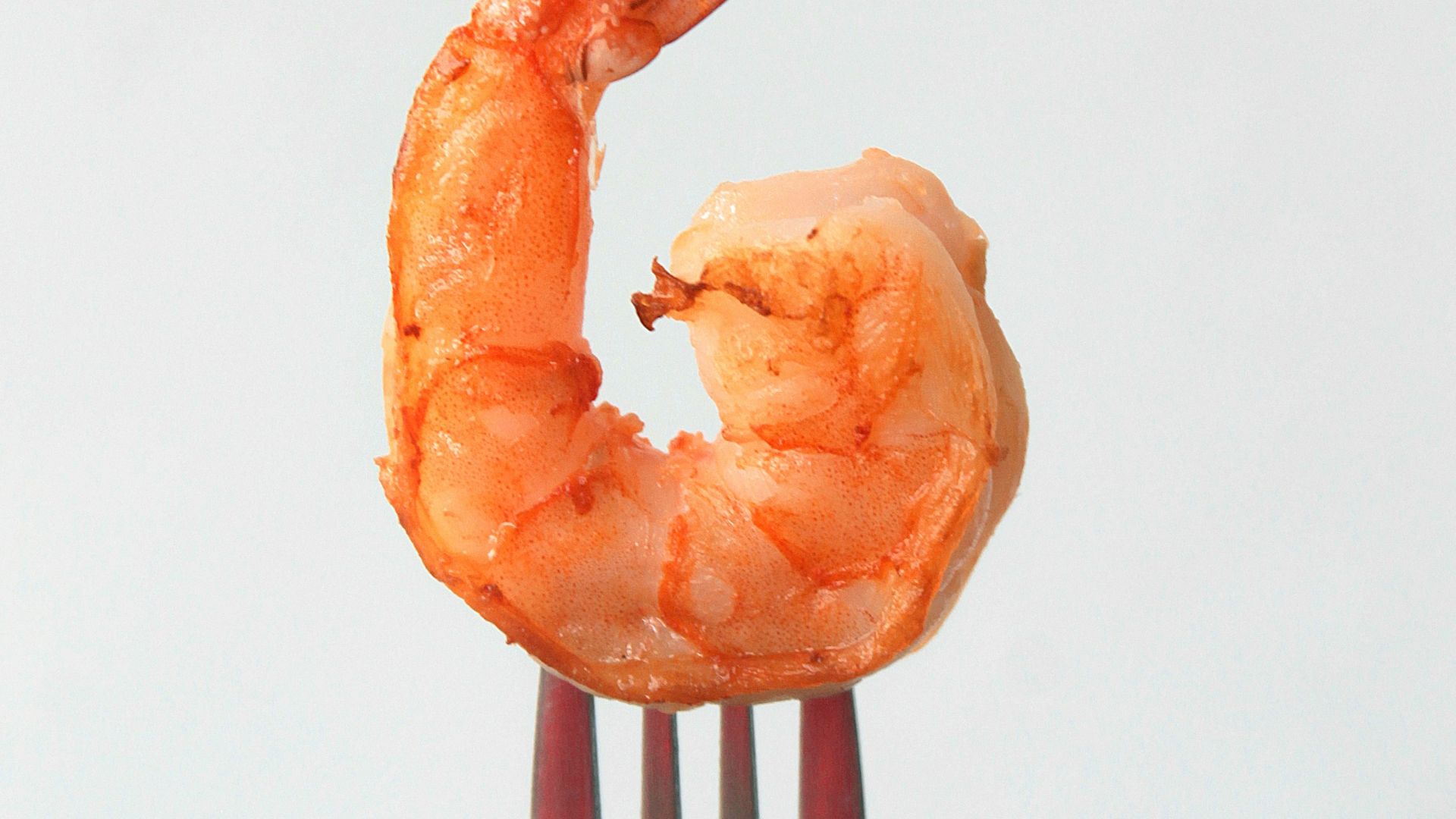 orange clay on stainless steel fork