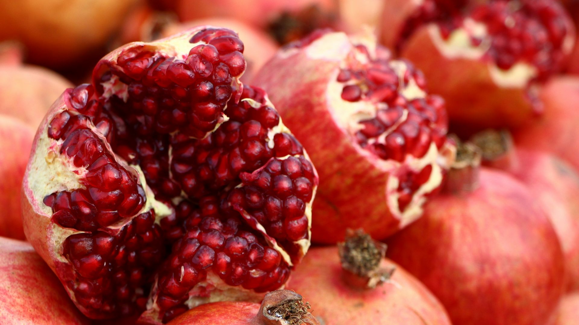 red fruit in macro shot