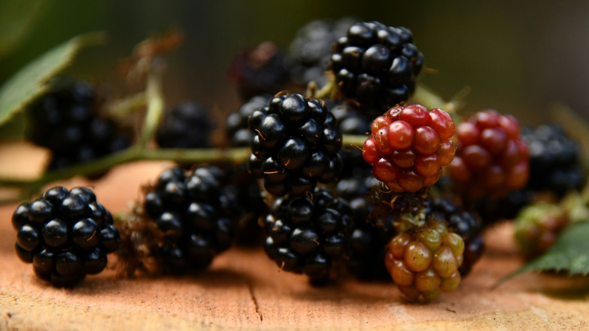 black and brown fruits