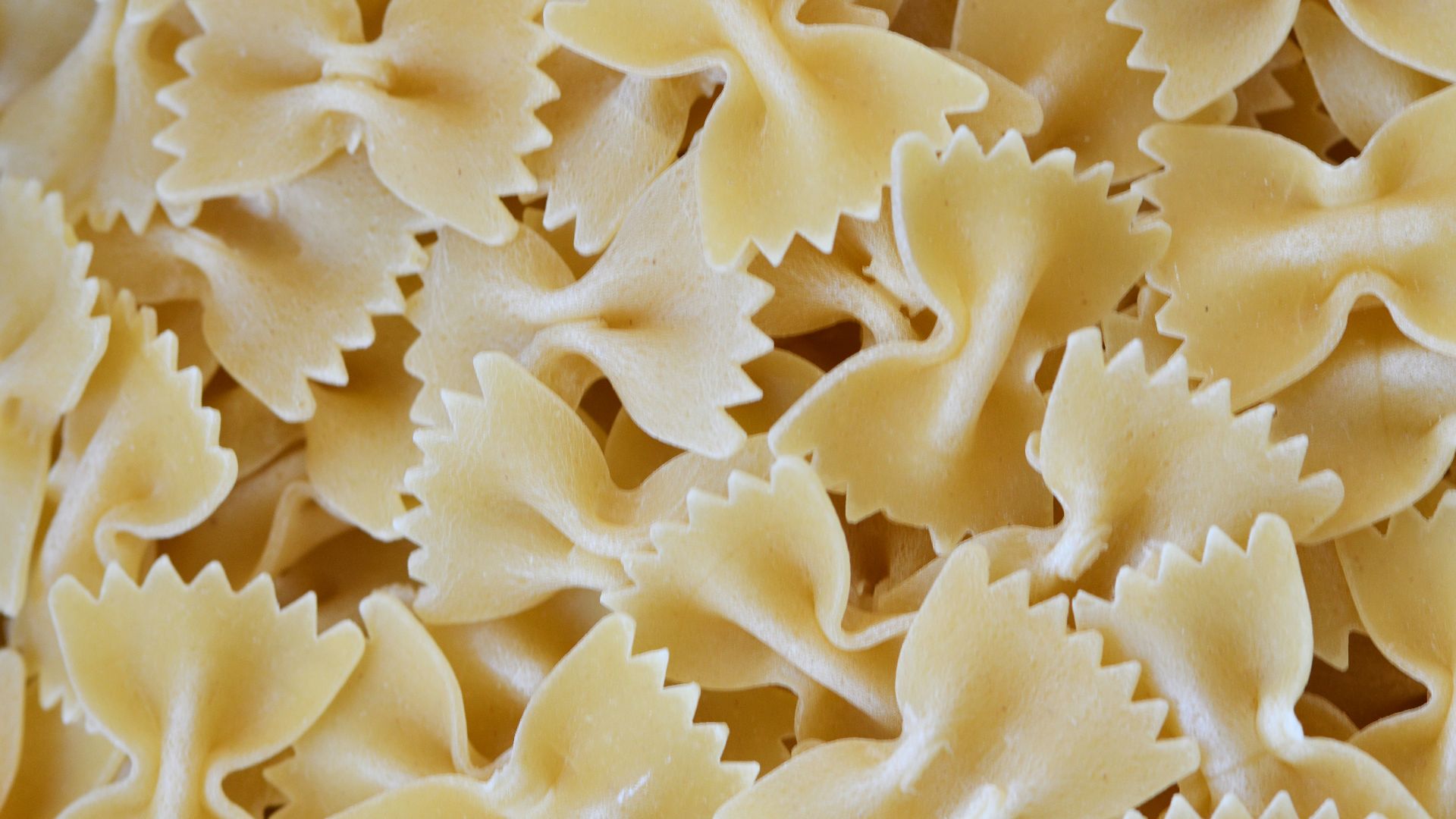 white flower petals in close up photography