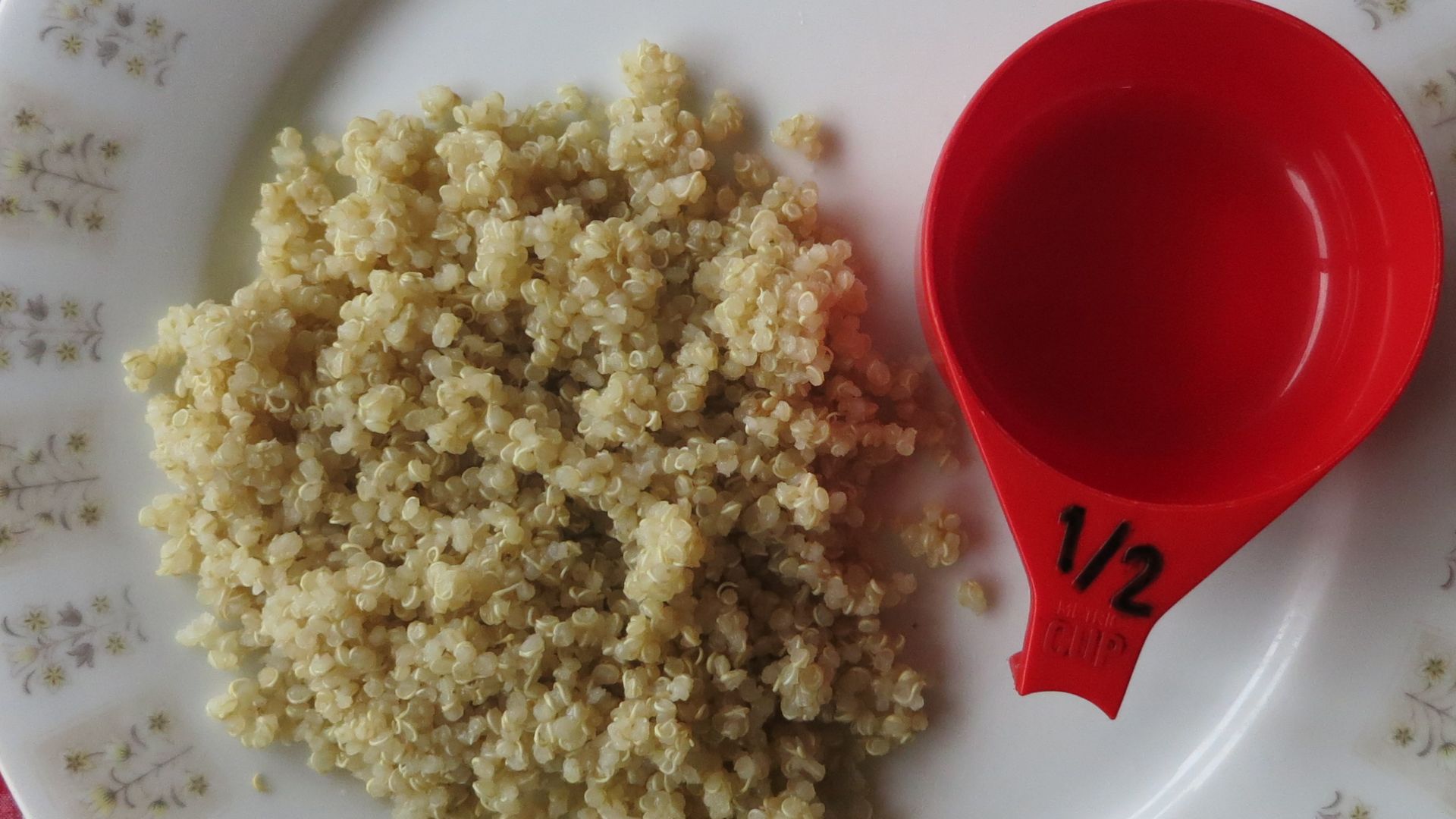 File:Half a cup of quinoa.JPG