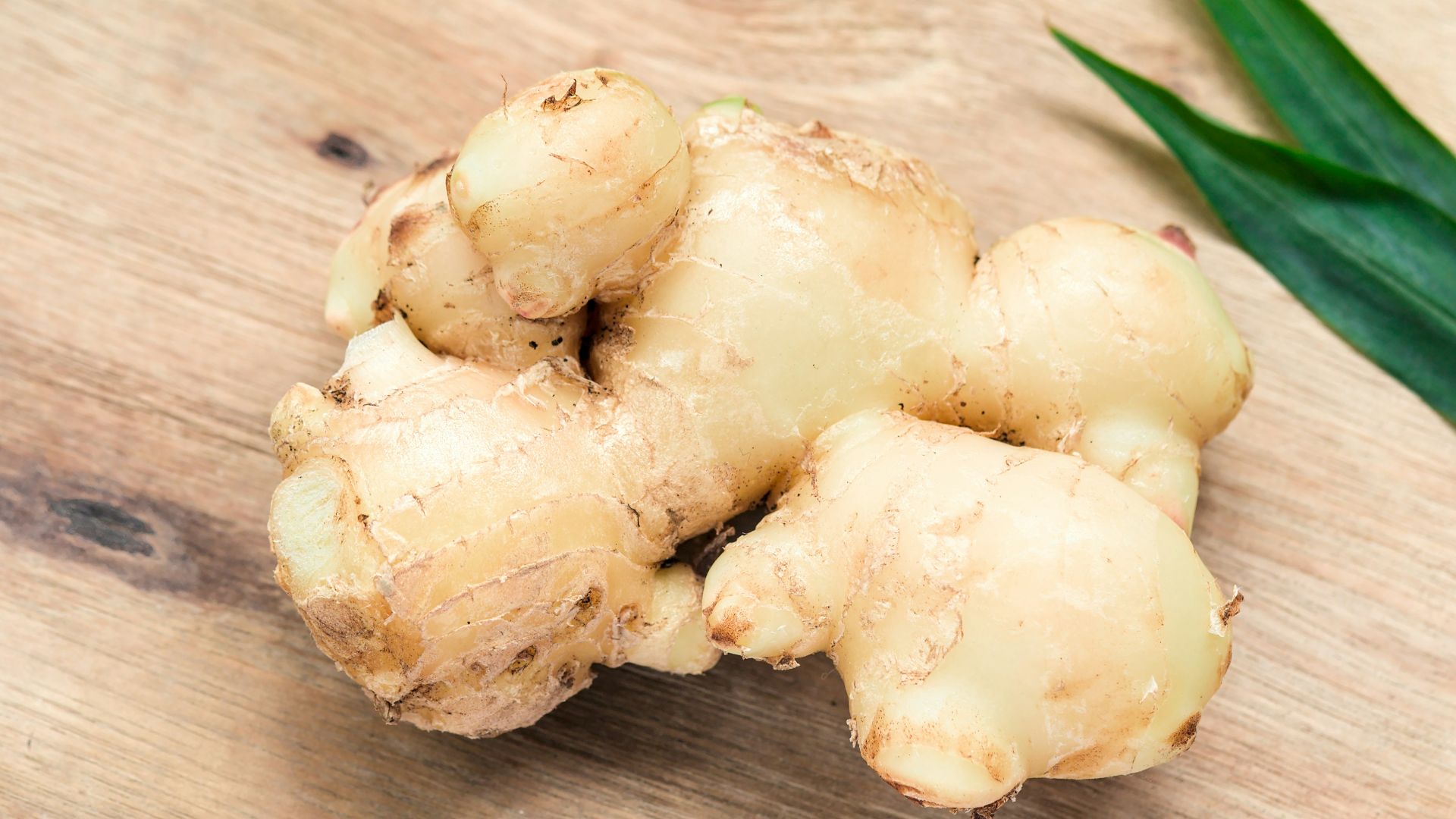 white garlic on brown wooden table