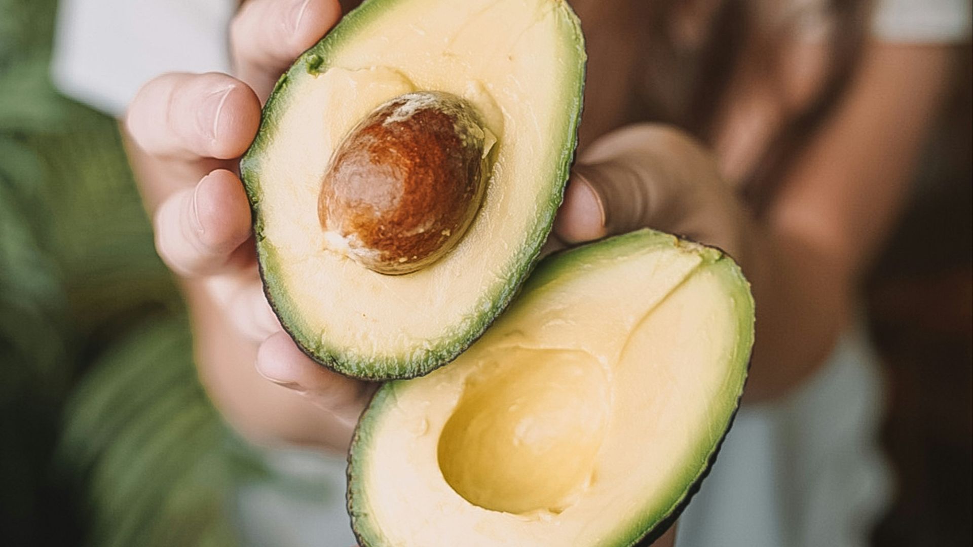 sliced avocado fruit on persons hand