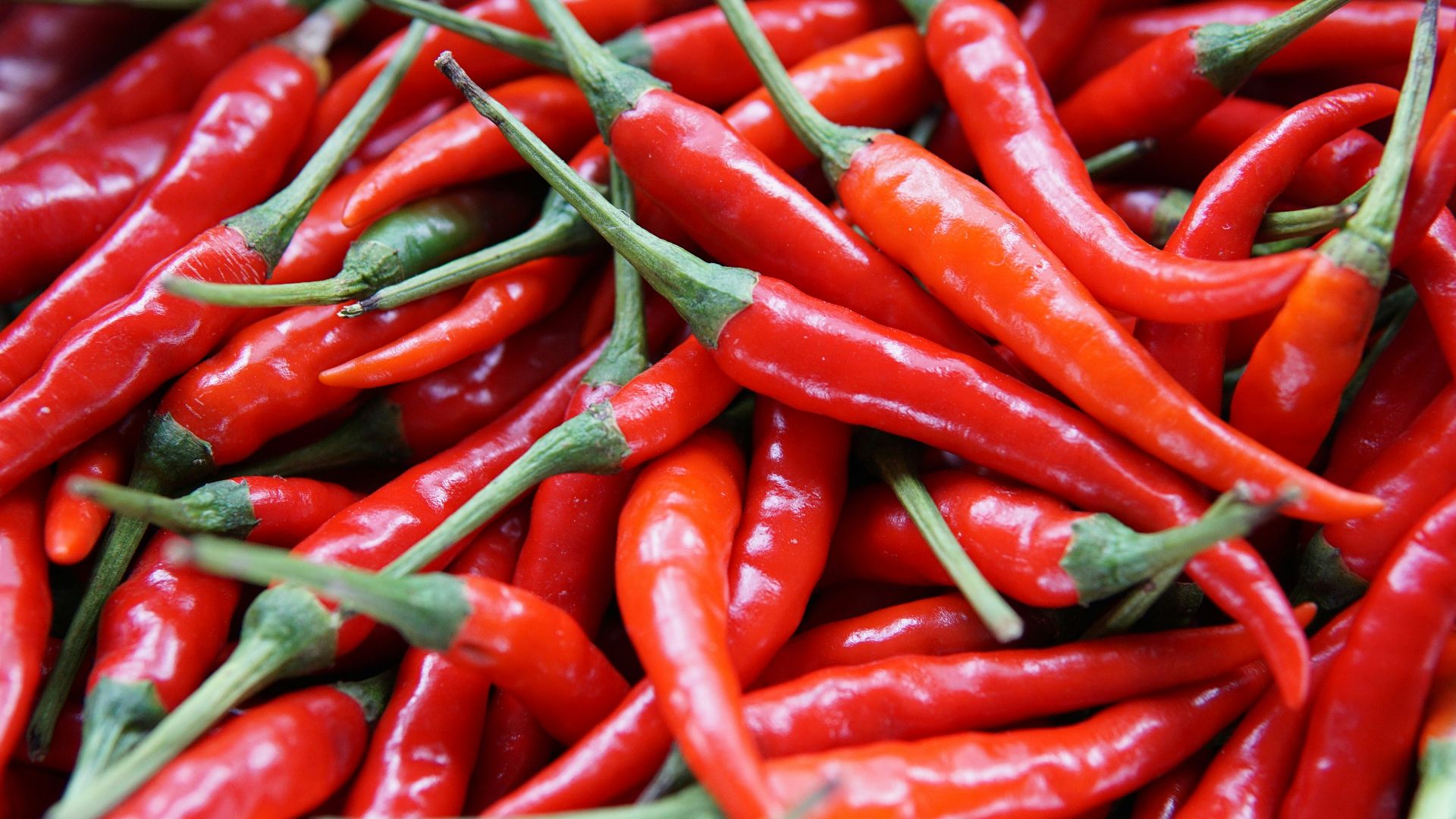 red chili peppers