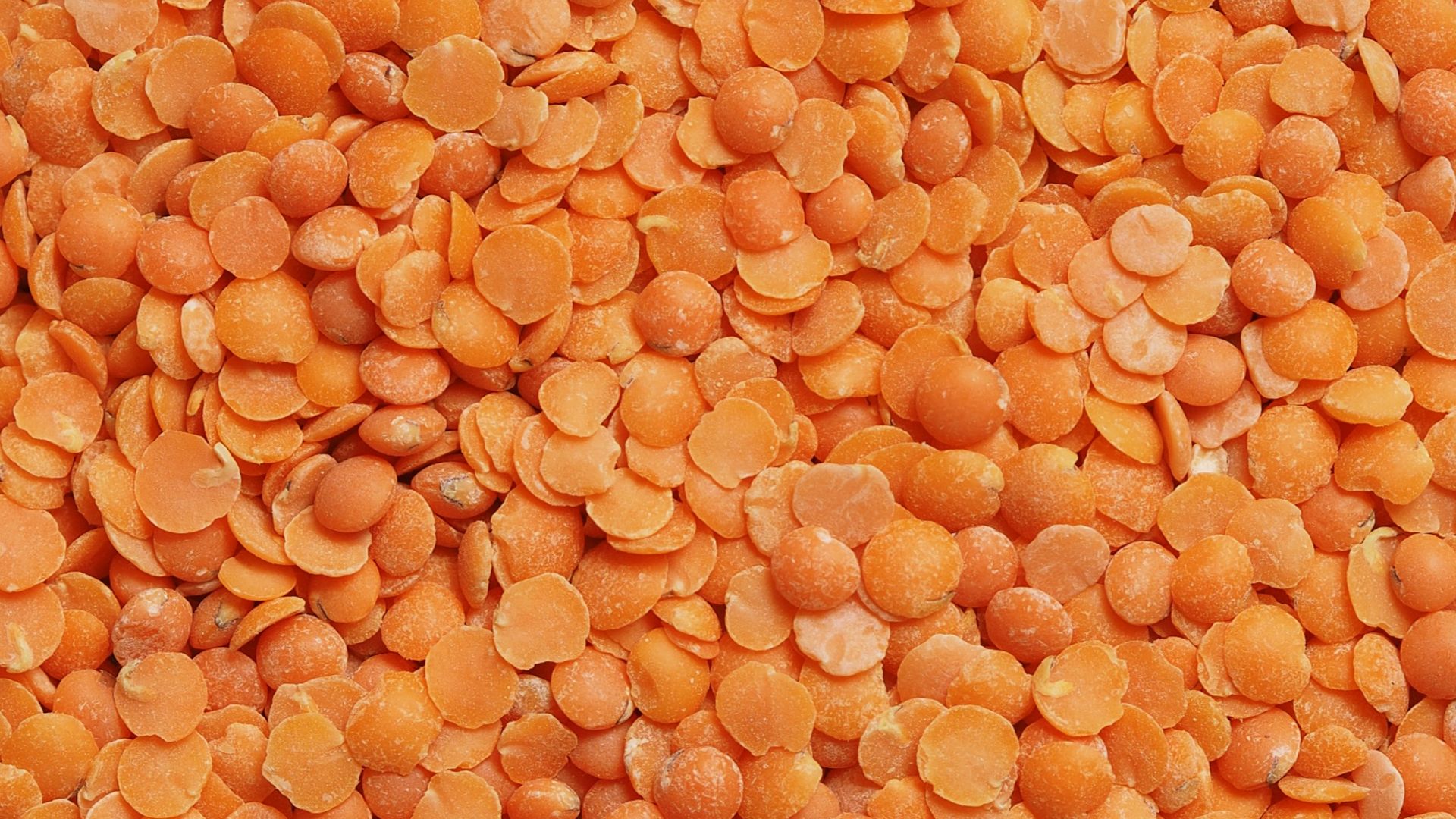 brown and black dried leaves