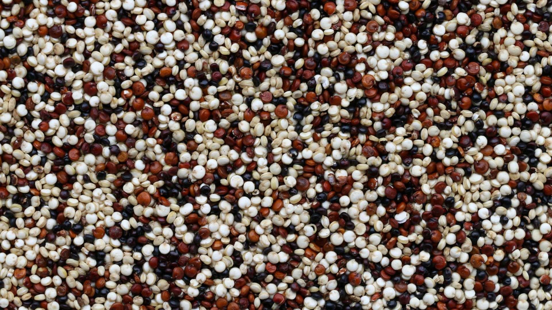 brown and white pebbles on ground