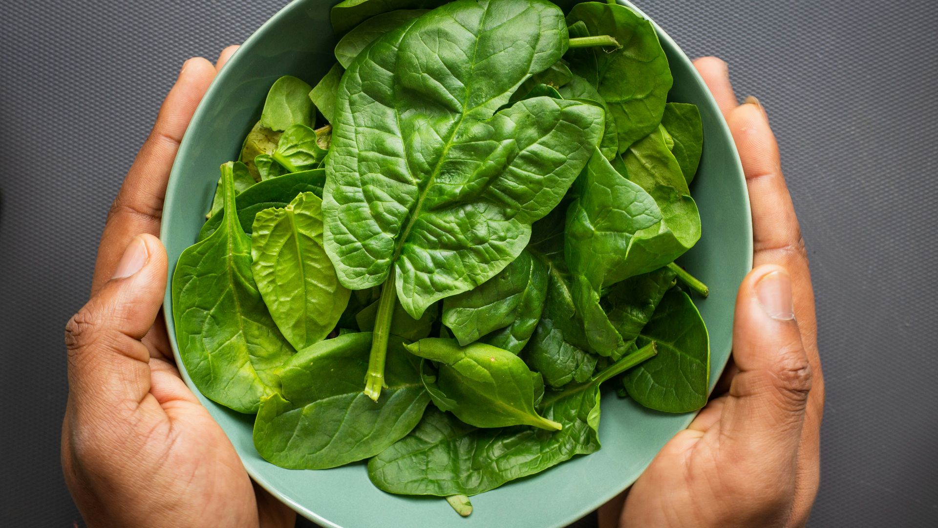 green leaves on blue plastic bowl